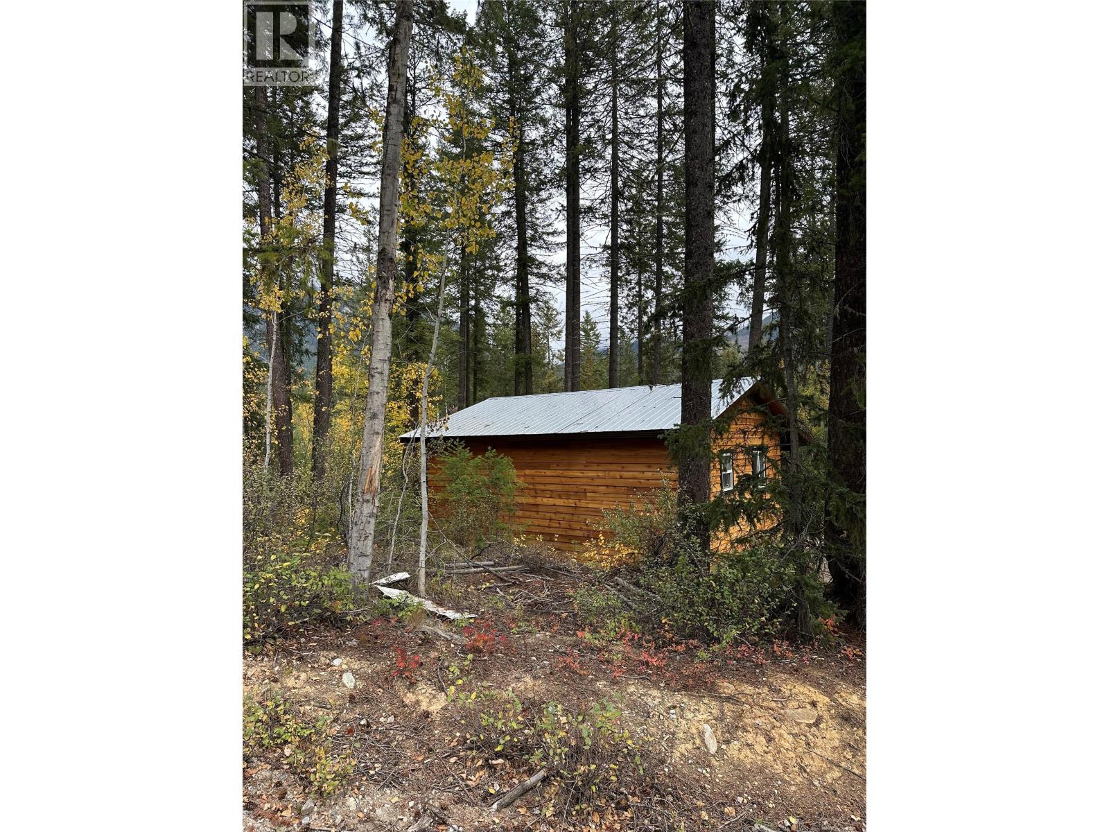 787 Golden Donald Upper Road, Golden, British Columbia  V0A 1H1 - Photo 5 - 10393249