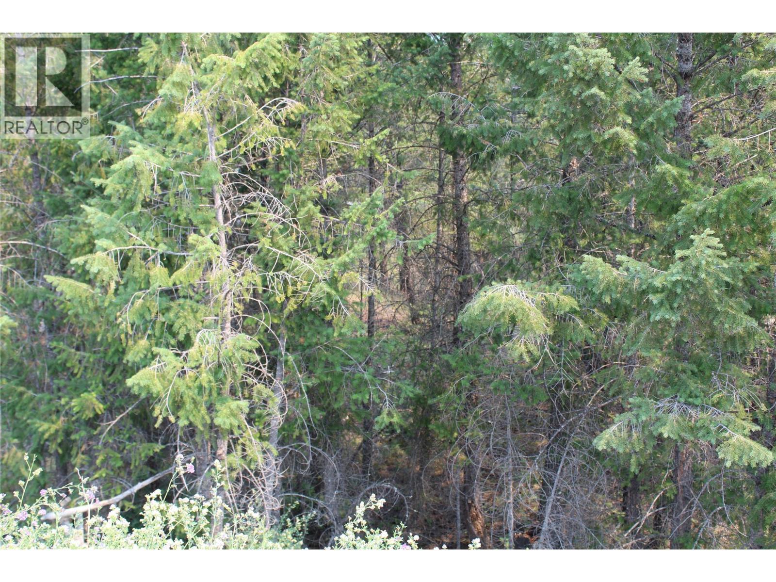Lot 21 Copper Point Way, Windermere, British Columbia  V0A 1L0 - Photo 3 - 10393939