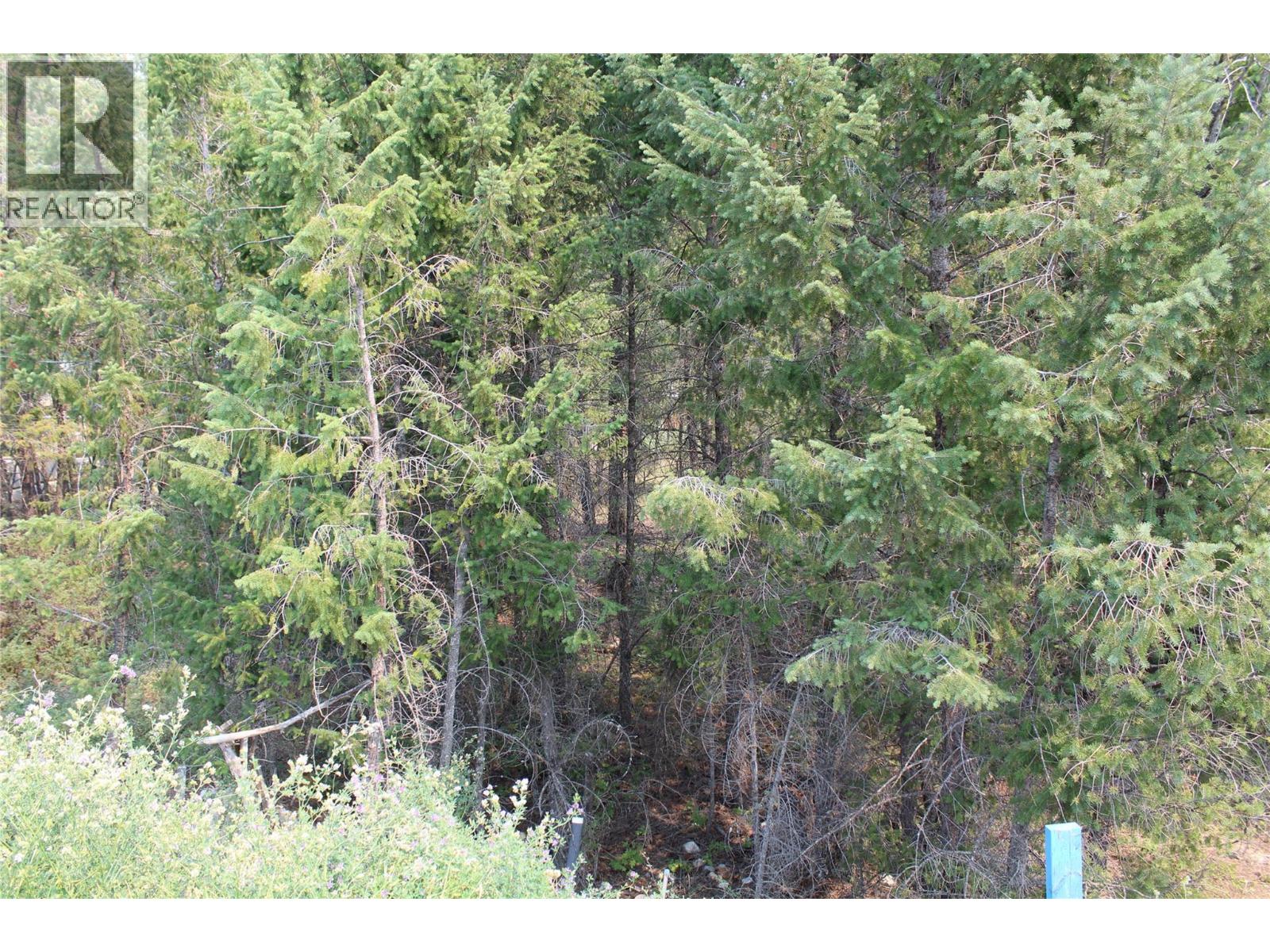 Lot 21 Copper Point Way, Windermere, British Columbia  V0A 1L0 - Photo 4 - 10393939