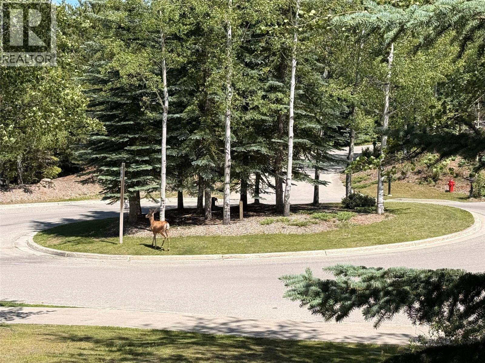 2080 Summit Drive Unit# 322, Panorama, British Columbia  V0A 1T0 - Photo 21 - 10394663