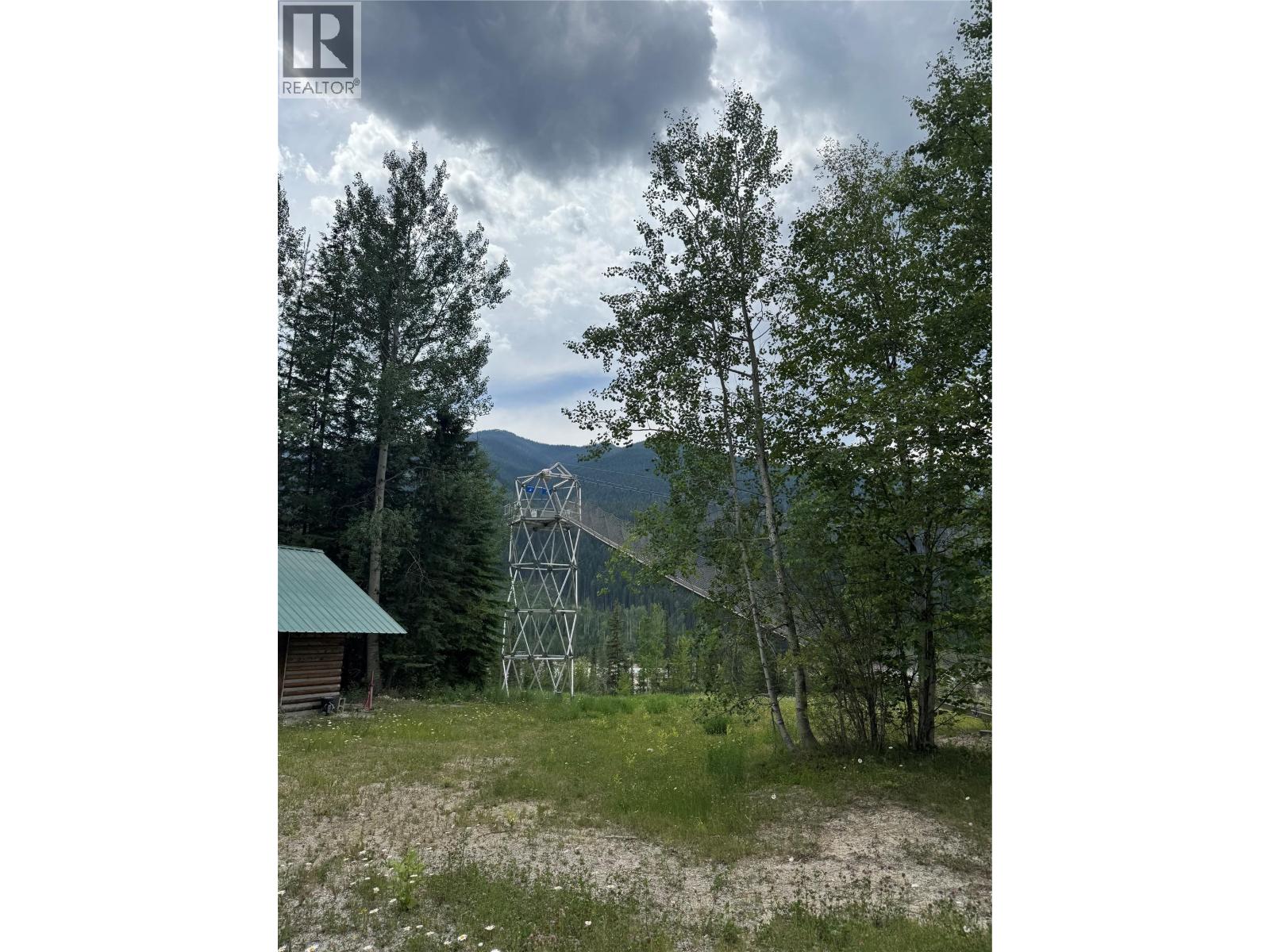 2810 Beaverfoot Rd Road, Golden, British Columbia  V0A 1H0 - Photo 16 - 10394809