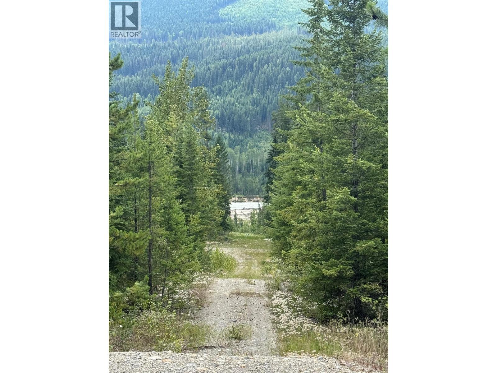 2810 Beaverfoot Rd Road, Golden, British Columbia  V0A 1H0 - Photo 23 - 10394809