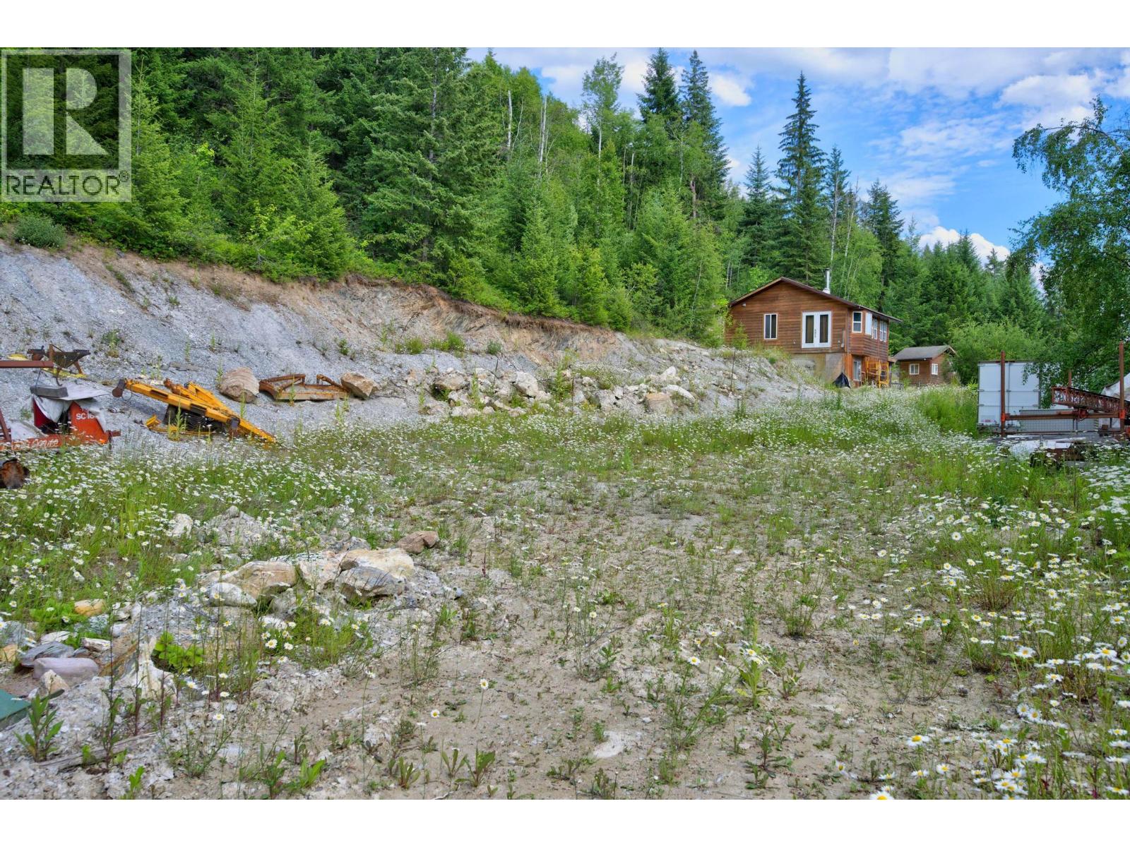 1664 Trans Canada  N Highway, Golden, British Columbia  V0A 1H0 - Photo 19 - 10393639