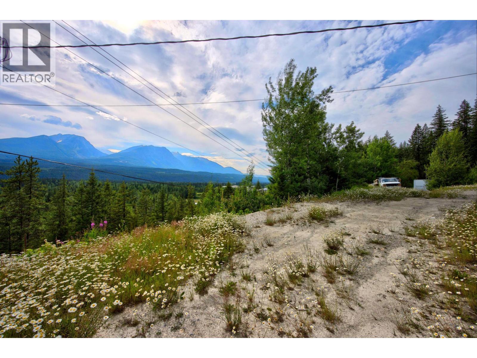 1664 Trans Canada  N Highway, Golden, British Columbia  V0A 1H0 - Photo 23 - 10393639