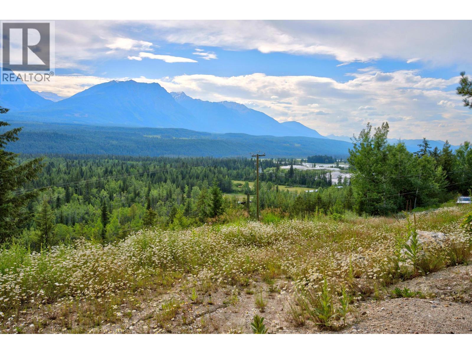 1664 Trans Canada  N Highway, Golden, British Columbia  V0A 1H0 - Photo 27 - 10393639