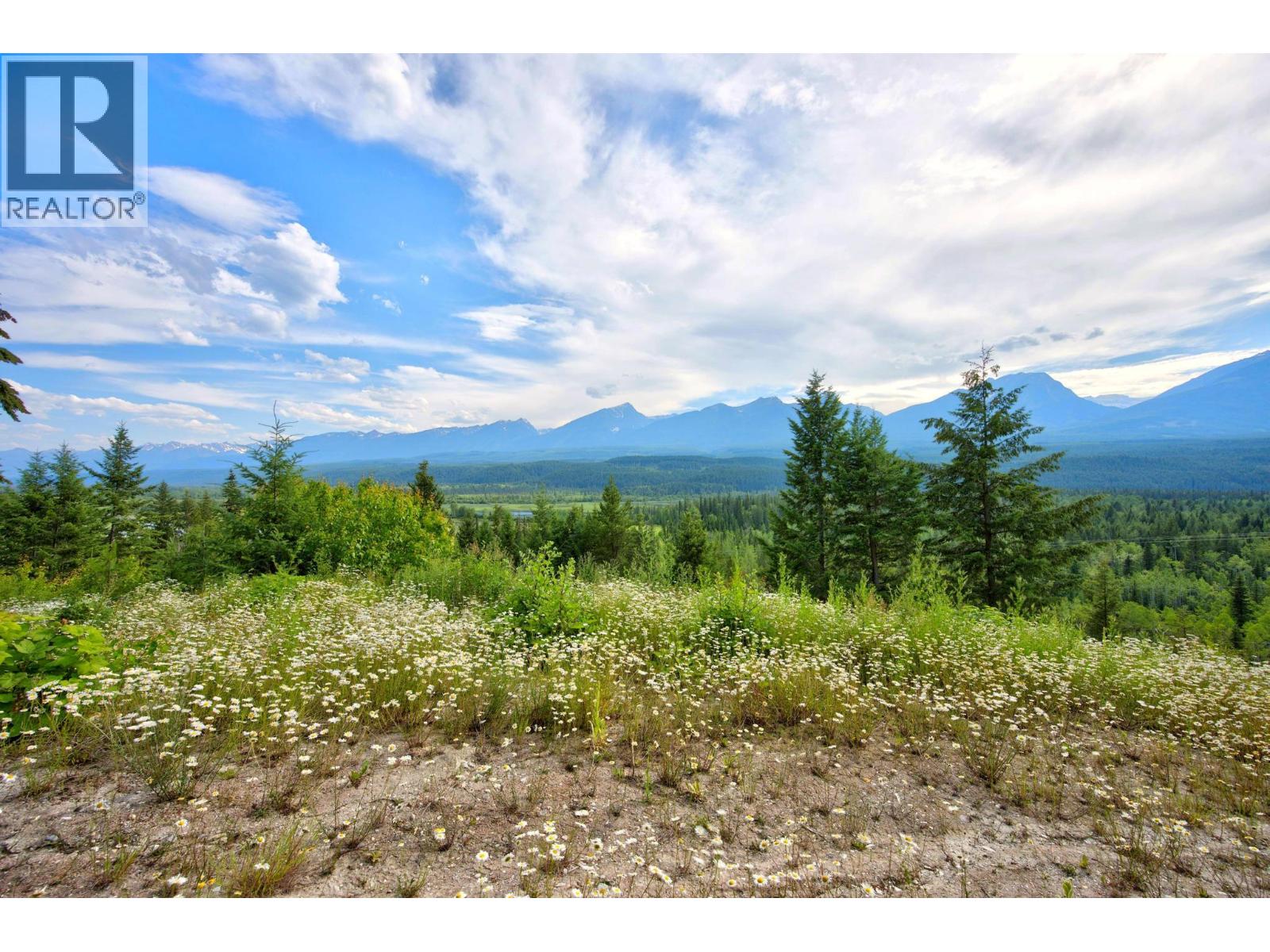 1664 Trans Canada  N Highway, Golden, British Columbia  V0A 1H0 - Photo 28 - 10393639