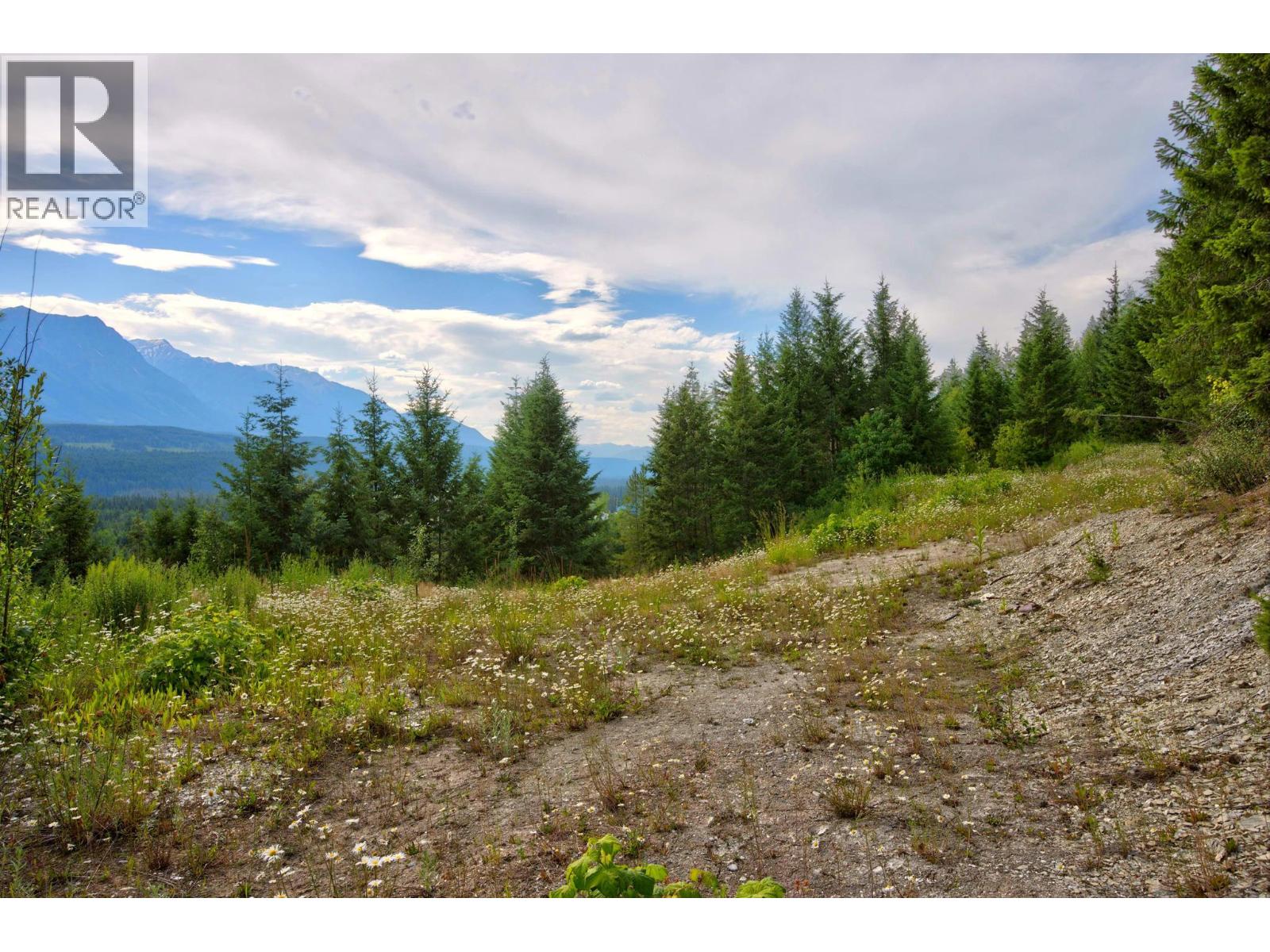 1664 Trans Canada  N Highway, Golden, British Columbia  V0A 1H0 - Photo 30 - 10393639