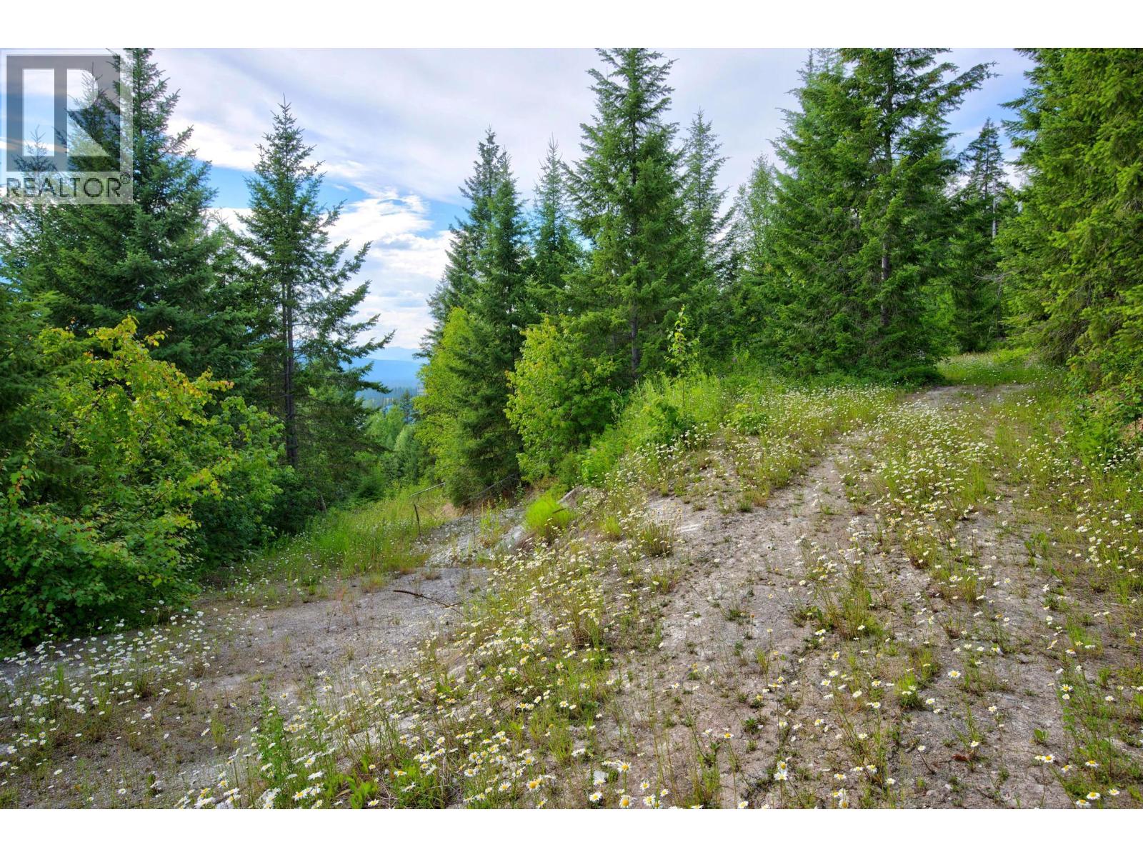 1664 Trans Canada  N Highway, Golden, British Columbia  V0A 1H0 - Photo 31 - 10393639