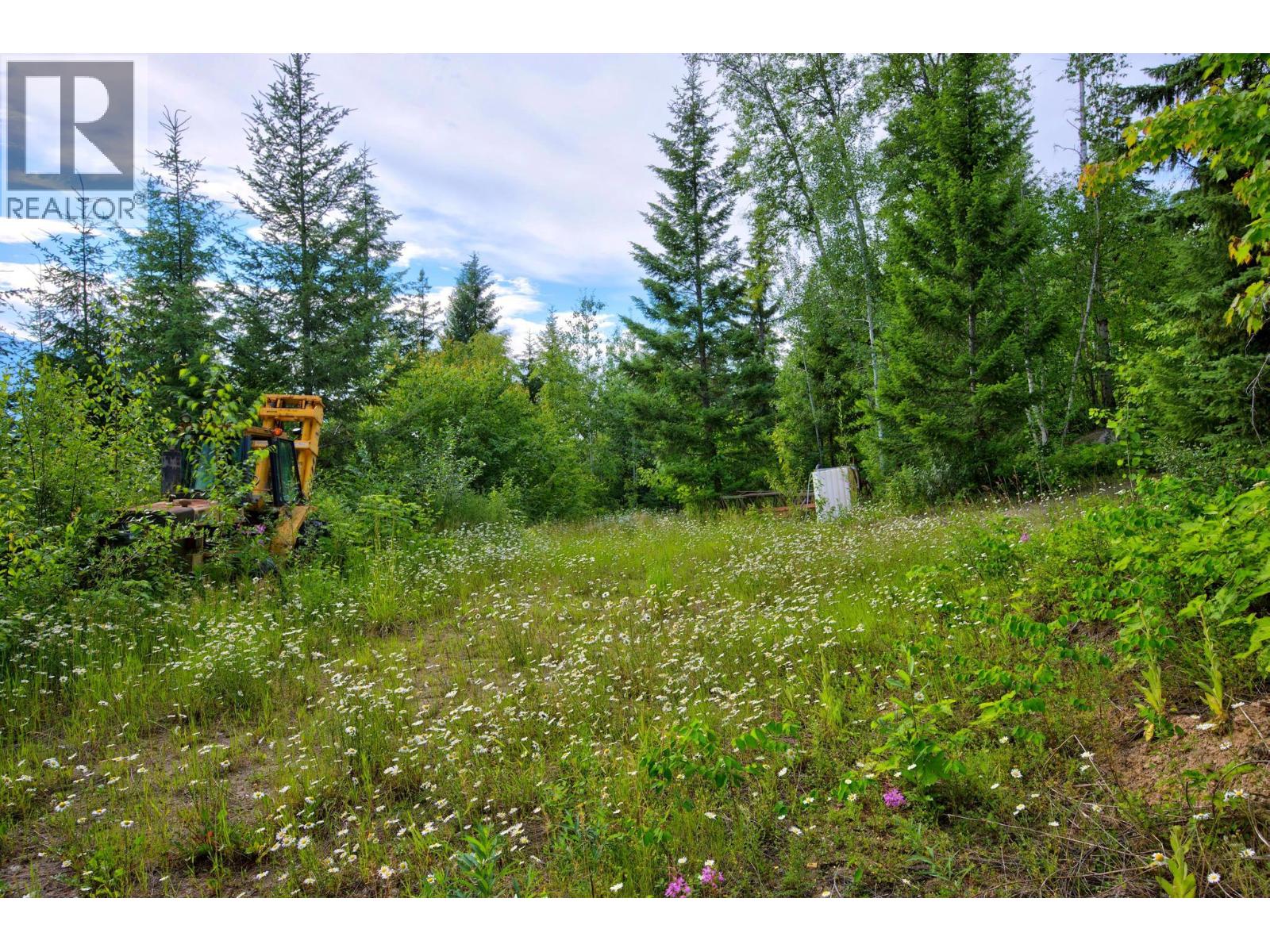 1664 Trans Canada  N Highway, Golden, British Columbia  V0A 1H0 - Photo 32 - 10393639