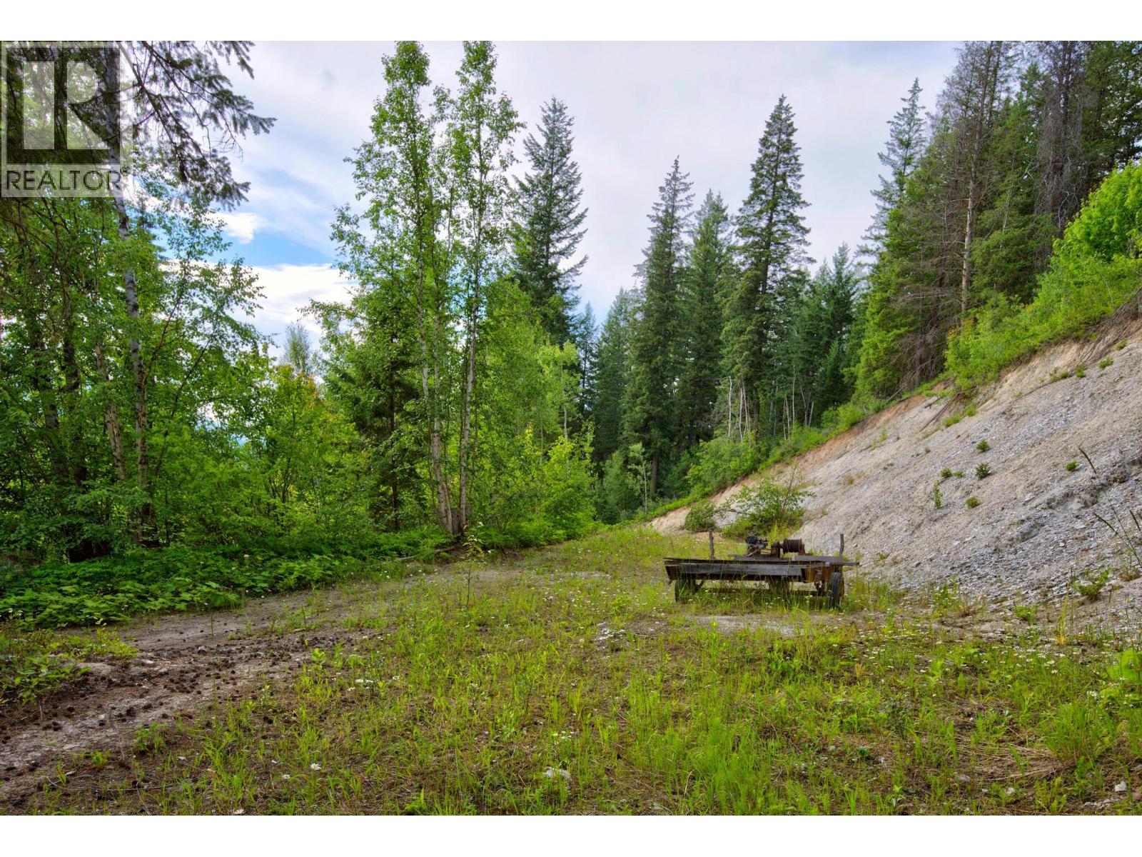 1664 Trans Canada  N Highway, Golden, British Columbia  V0A 1H0 - Photo 33 - 10393639