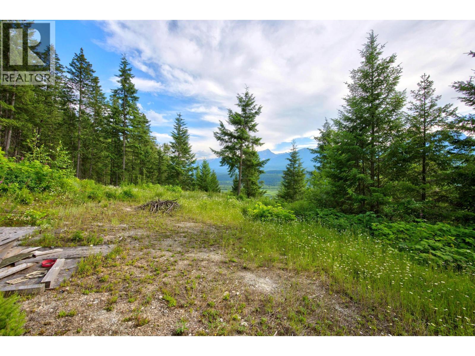 1664 Trans Canada  N Highway, Golden, British Columbia  V0A 1H0 - Photo 34 - 10393639