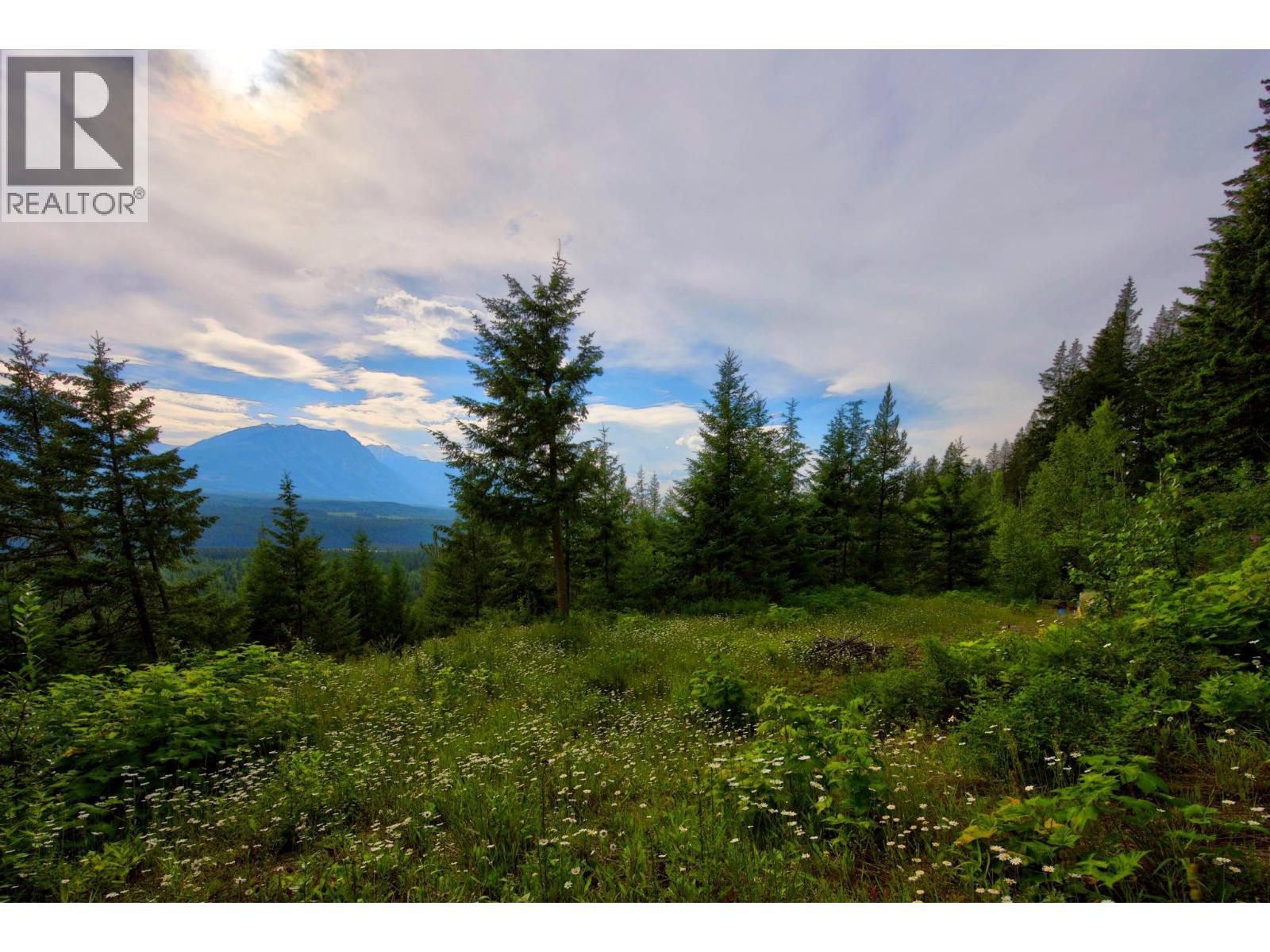 1664 Trans Canada  N Highway, Golden, British Columbia  V0A 1H0 - Photo 35 - 10393639