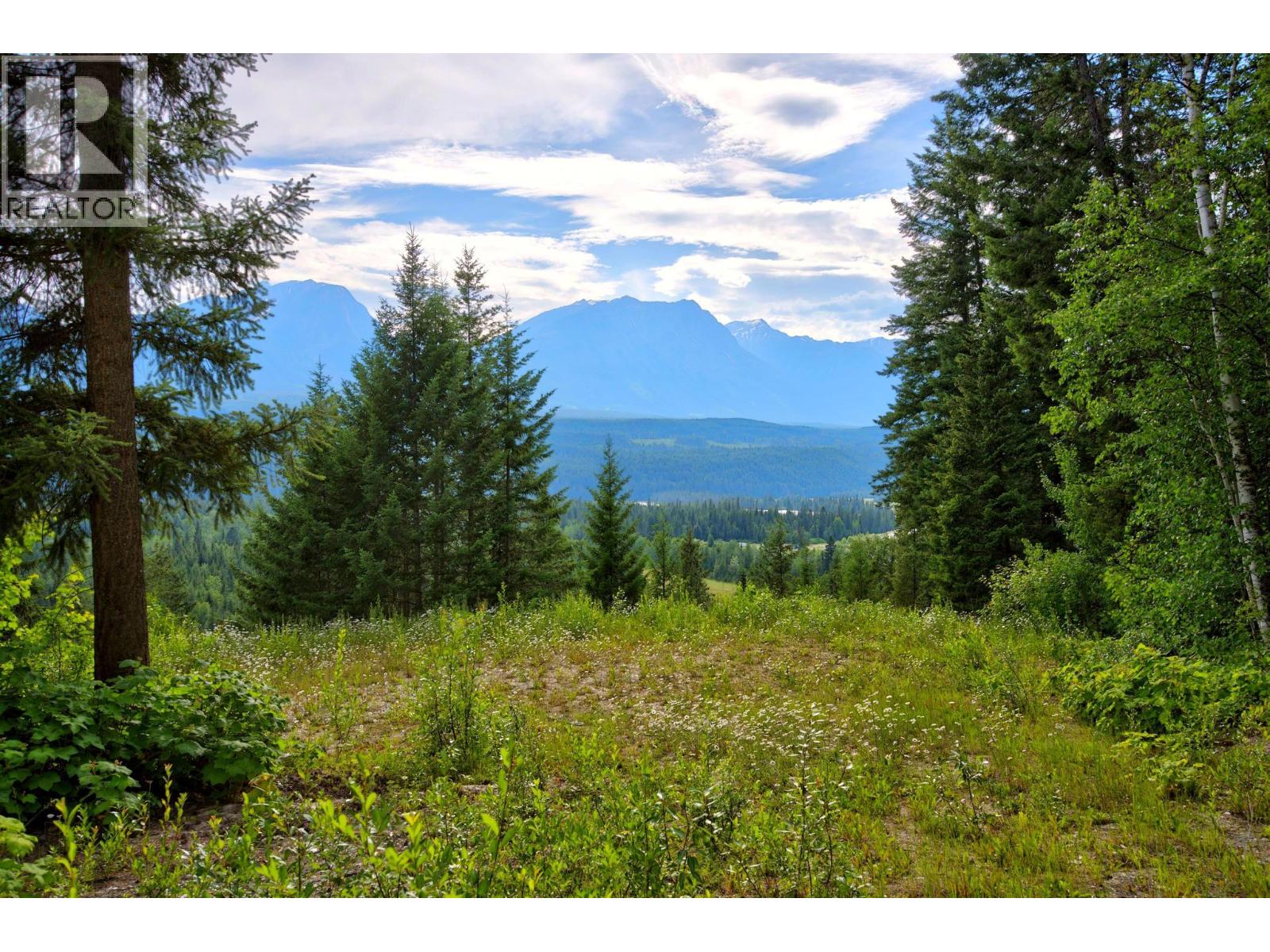 1664 Trans Canada  N Highway, Golden, British Columbia  V0A 1H0 - Photo 37 - 10393639