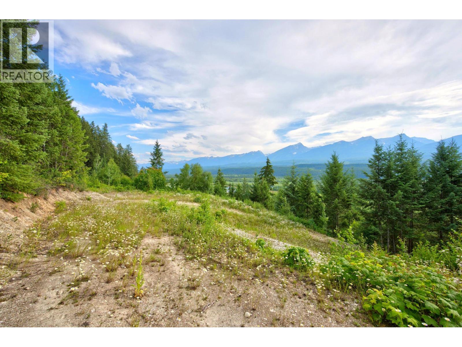 1664 Trans Canada  N Highway, Golden, British Columbia  V0A 1H0 - Photo 39 - 10393639