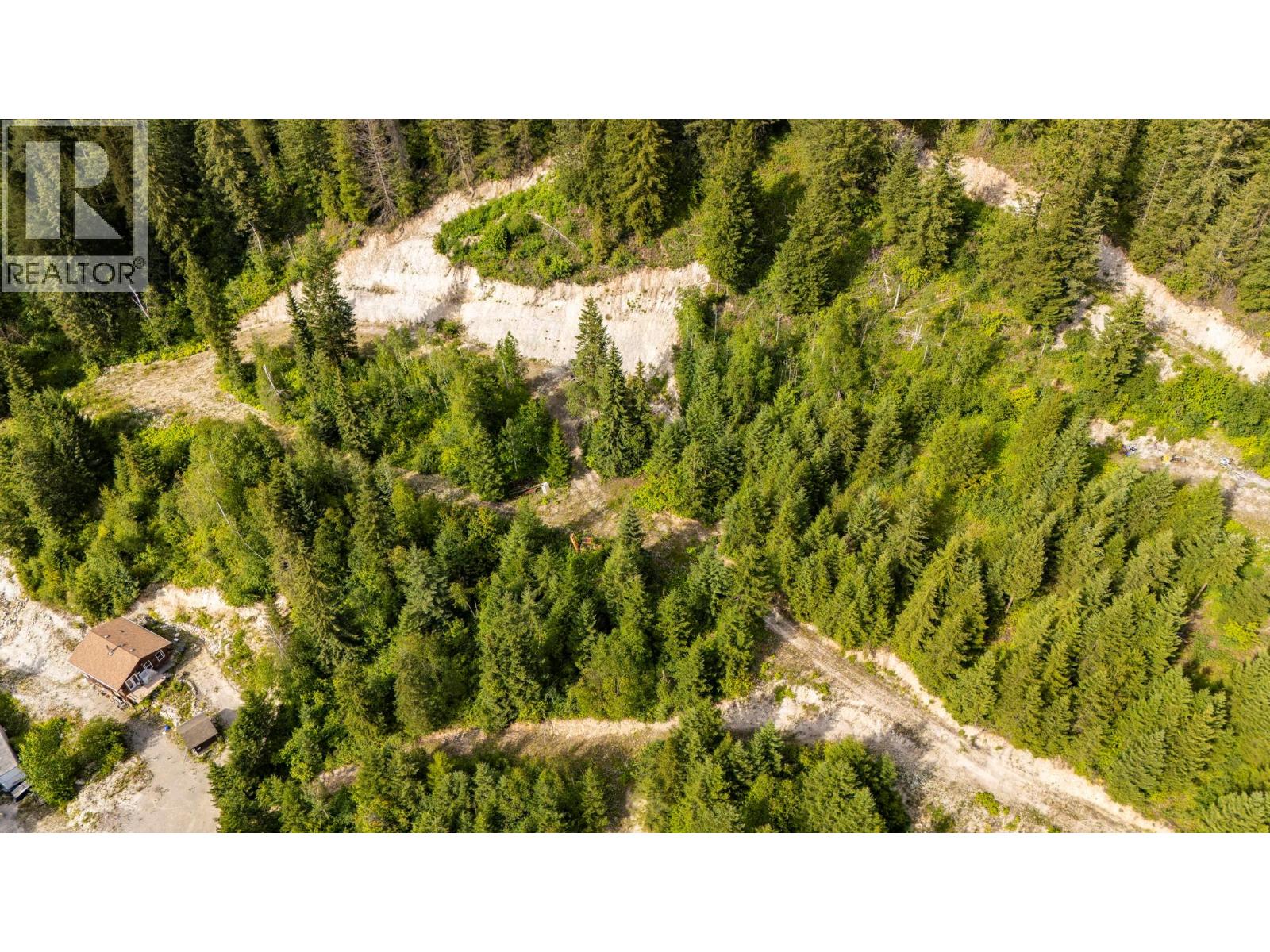 1664 Trans Canada  N Highway, Golden, British Columbia  V0A 1H0 - Photo 8 - 10393639