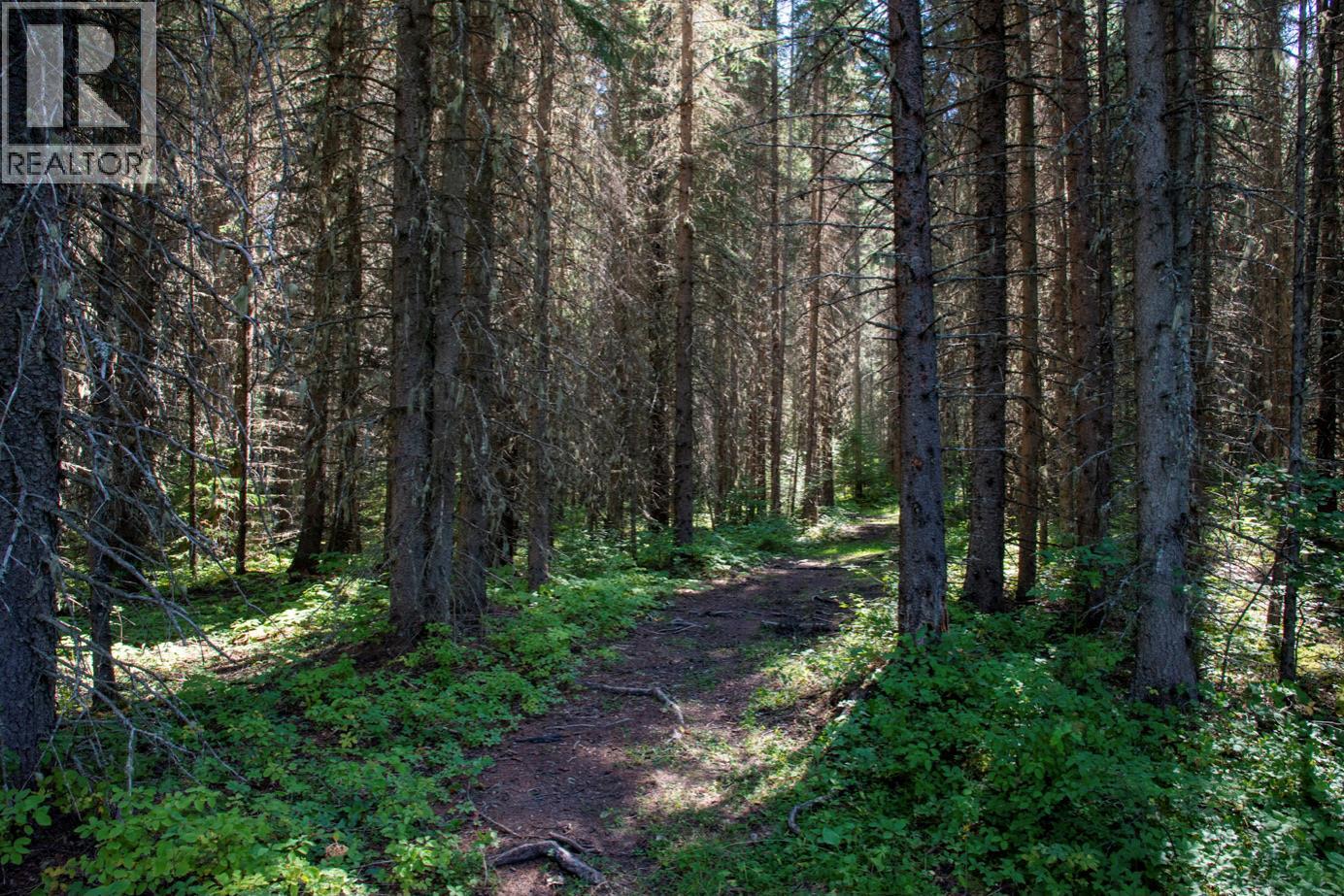 4227-4233 Beaverfoot Forest Service Road, Golden, British Columbia  V0A 1H0 - Photo 17 - 10395458