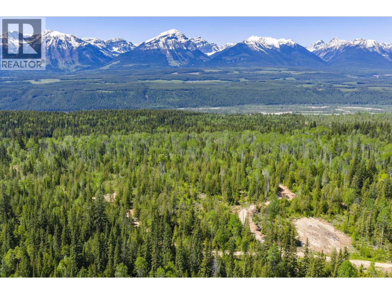 1155 Golden Donald Upper Road, Golden, British Columbia  V0A 1H1 - Photo 6 - 10396997