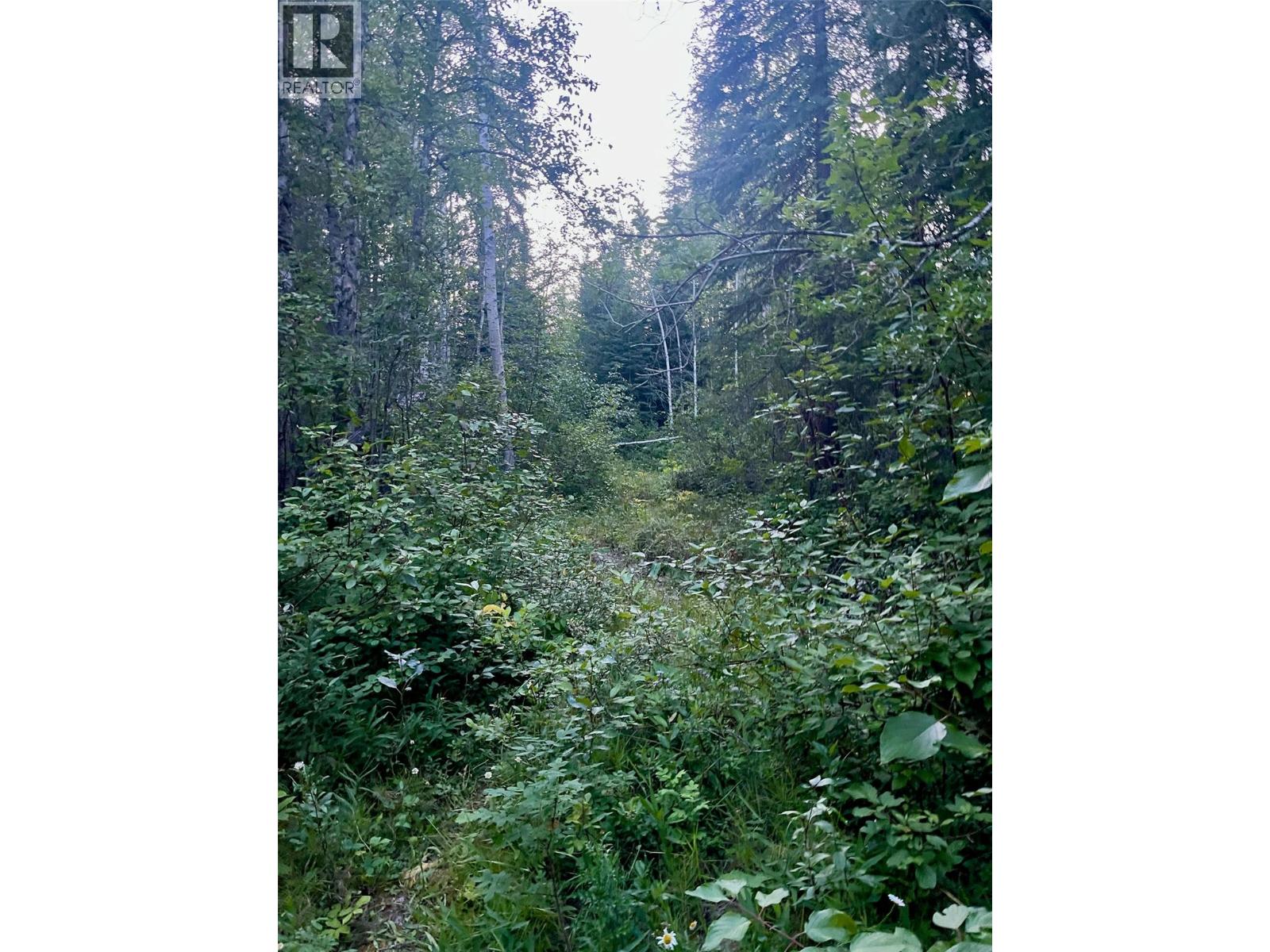 Lot 1 Neville Road, Golden, British Columbia  V0A 1H0 - Photo 10 - 10397262