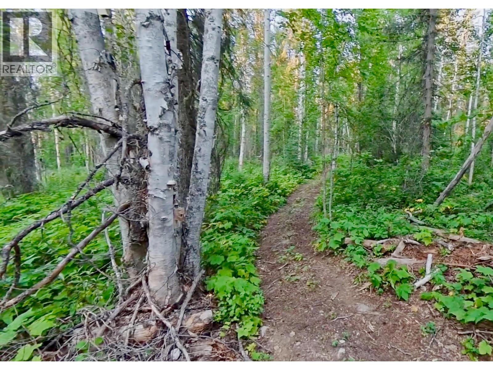 Lot 1 Neville Road, Golden, British Columbia  V0A 1H0 - Photo 15 - 10397262