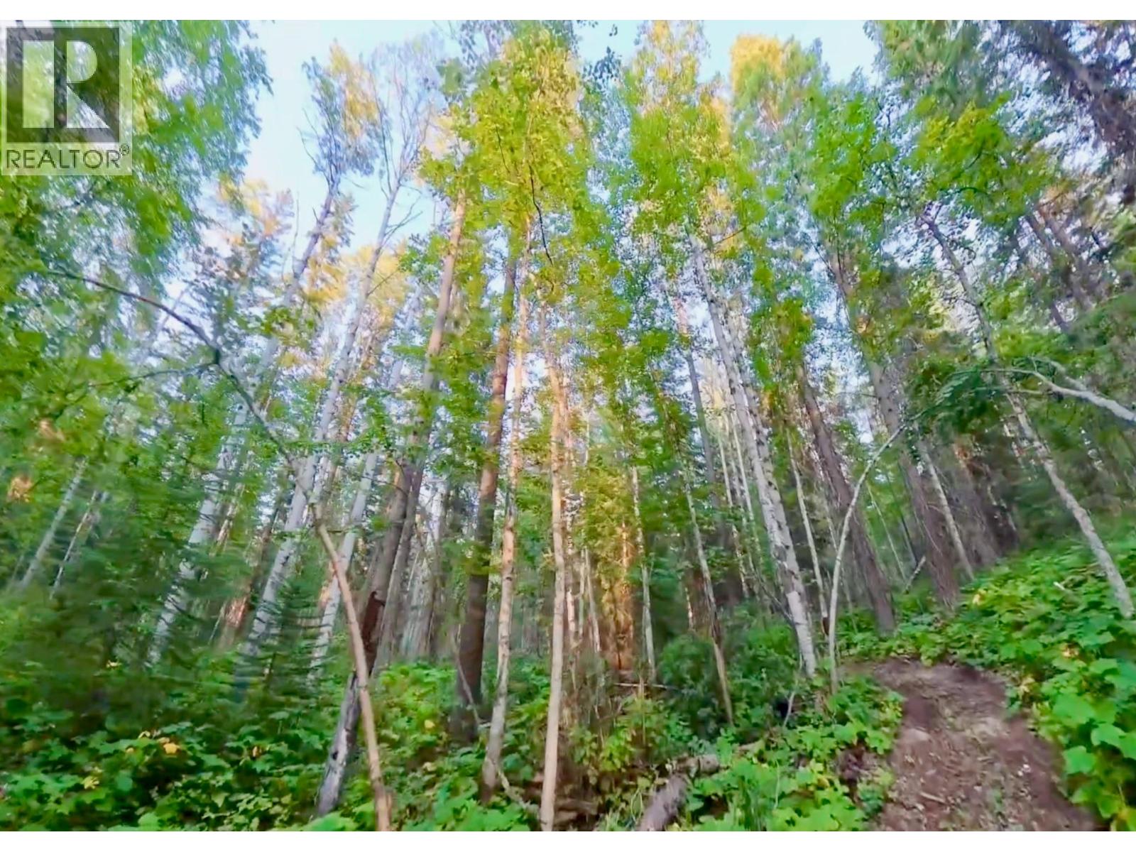Lot 1 Neville Road, Golden, British Columbia  V0A 1H0 - Photo 16 - 10397262