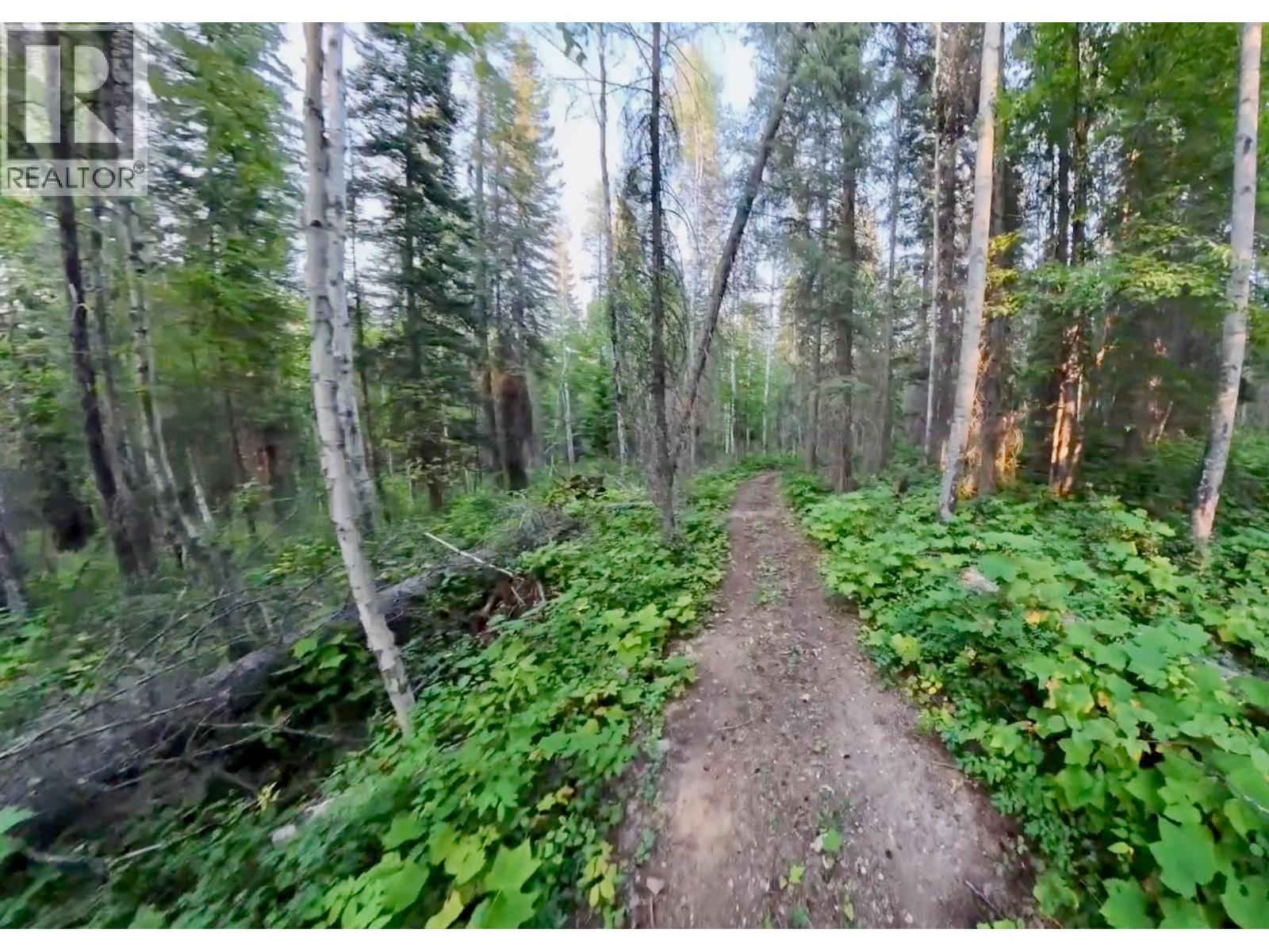 Lot 1 Neville Road, Golden, British Columbia  V0A 1H0 - Photo 18 - 10397262