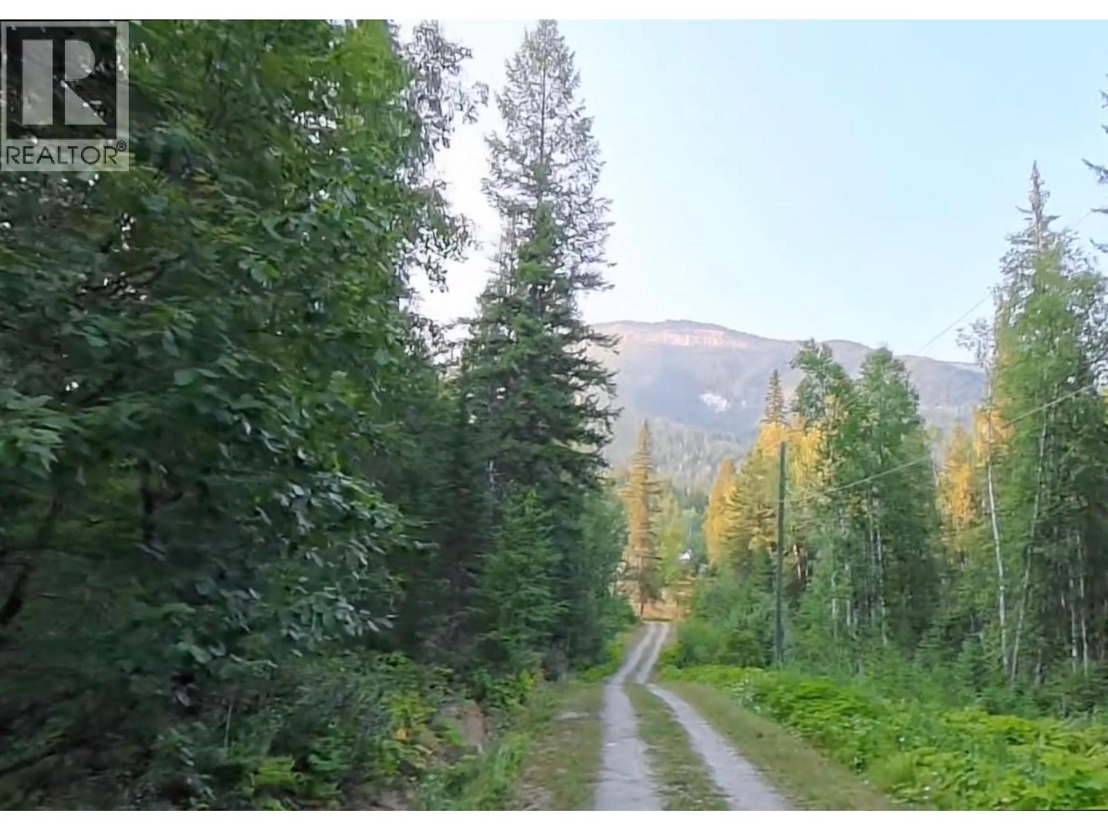 Lot 1 Neville Road, Golden, British Columbia  V0A 1H0 - Photo 19 - 10397262