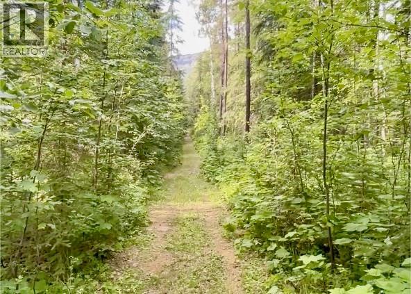 Lot 1 Neville Road, Golden, British Columbia  V0A 1H0 - Photo 6 - 10397262