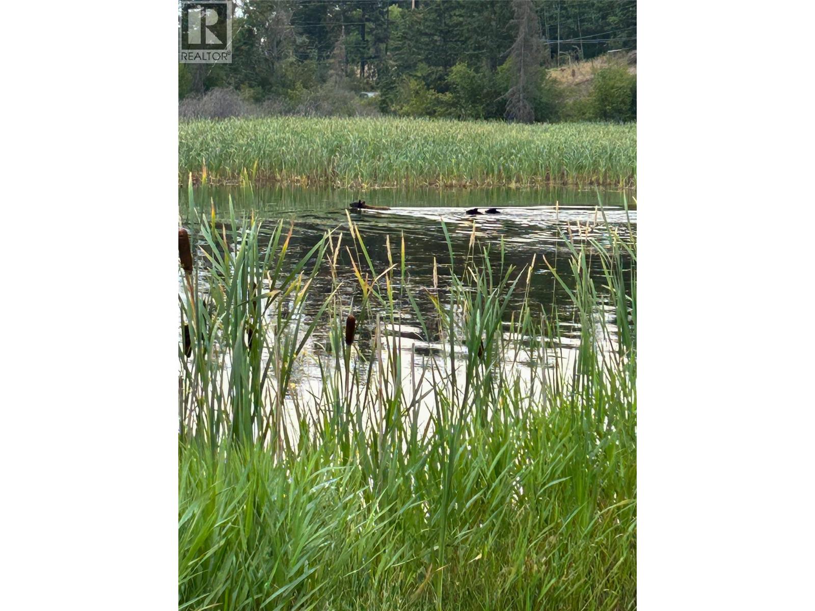 9498 Westside Road, Invermere, British Columbia  V0A 1K5 - Photo 65 - 10397616