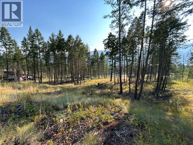 Lot 12 Csokony Road, Spur Valley, British Columbia