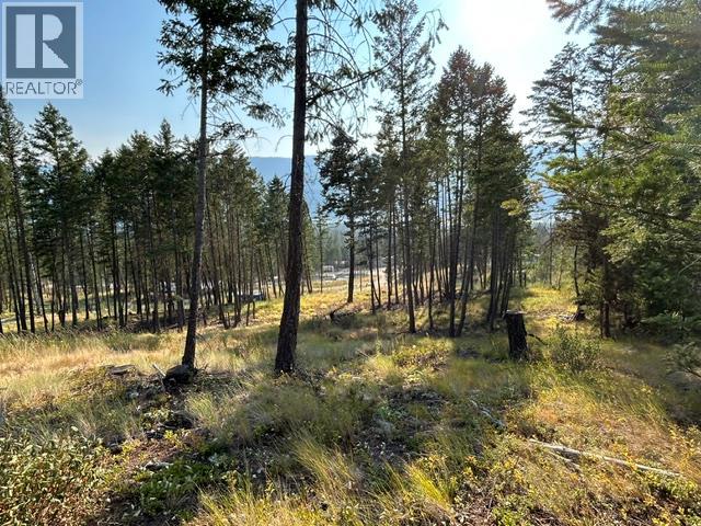 Lot 12 Csokony Road, Spur Valley, British Columbia  V0A 1E0 - Photo 2 - 10397956