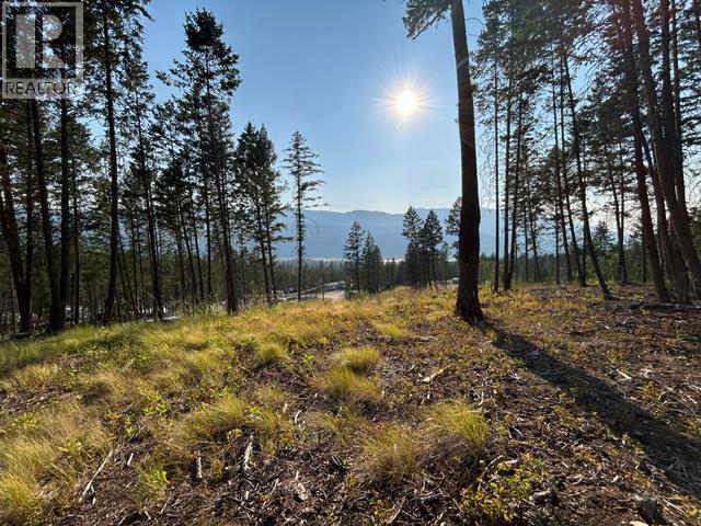 Lot 12 Csokony Road, Spur Valley, British Columbia  V0A 1E0 - Photo 3 - 10397956