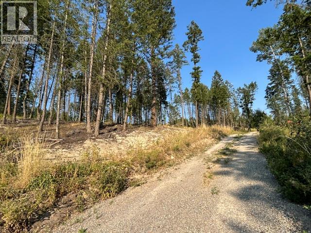 Lot 12 Csokony Road, Spur Valley, British Columbia  V0A 1E0 - Photo 8 - 10397956