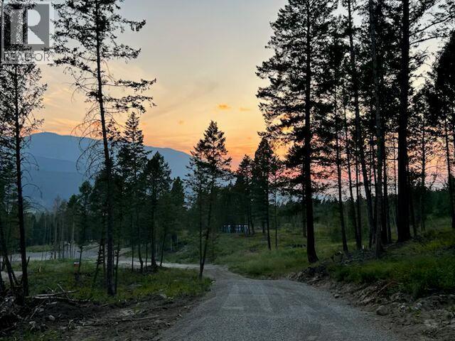Lot 12 Csokony Road, Spur Valley, British Columbia  V0A 1E0 - Photo 9 - 10397956