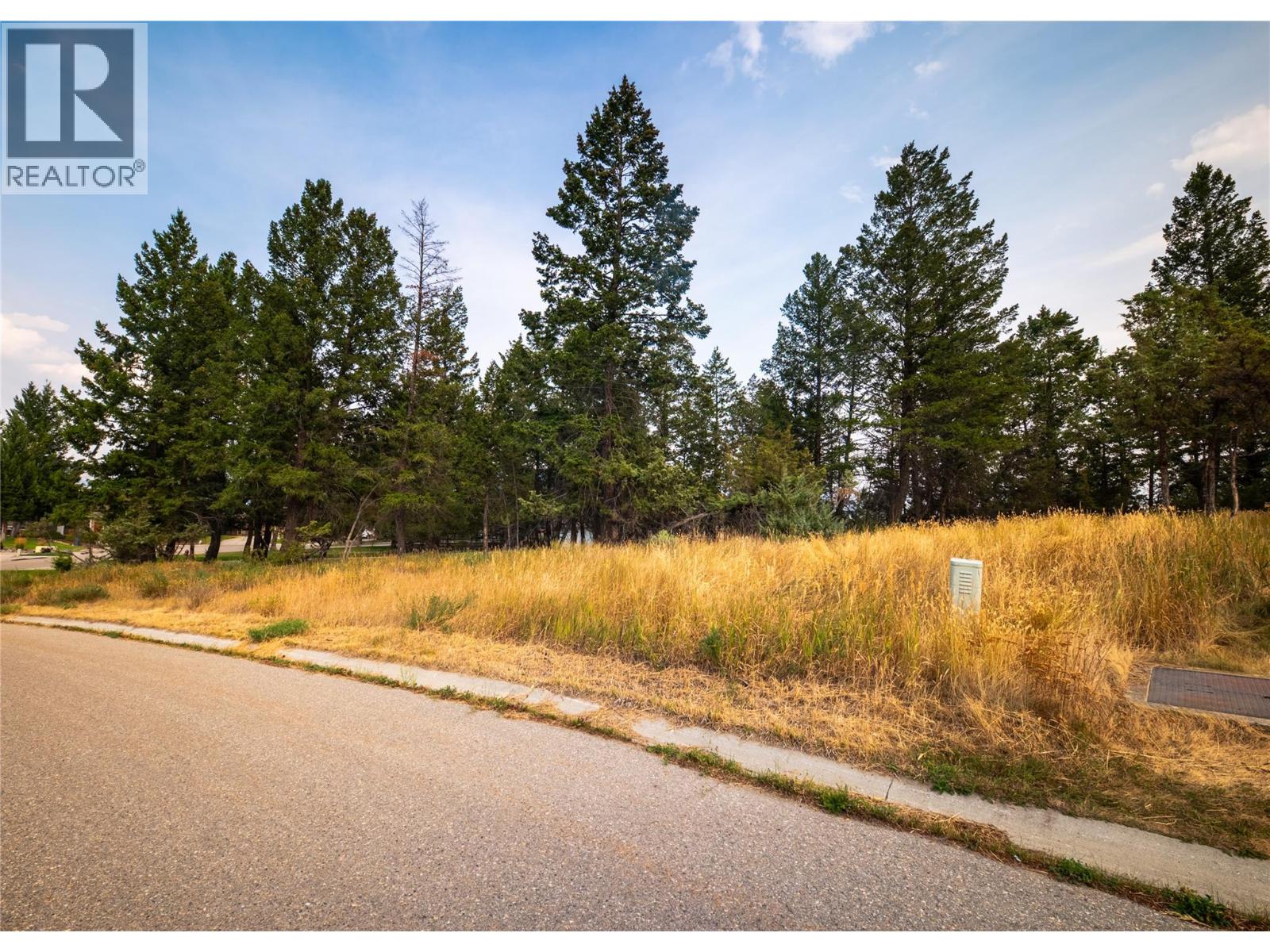 409 Westridge Drive, Invermere, British Columbia  V0A 1K4 - Photo 10 - 10397655