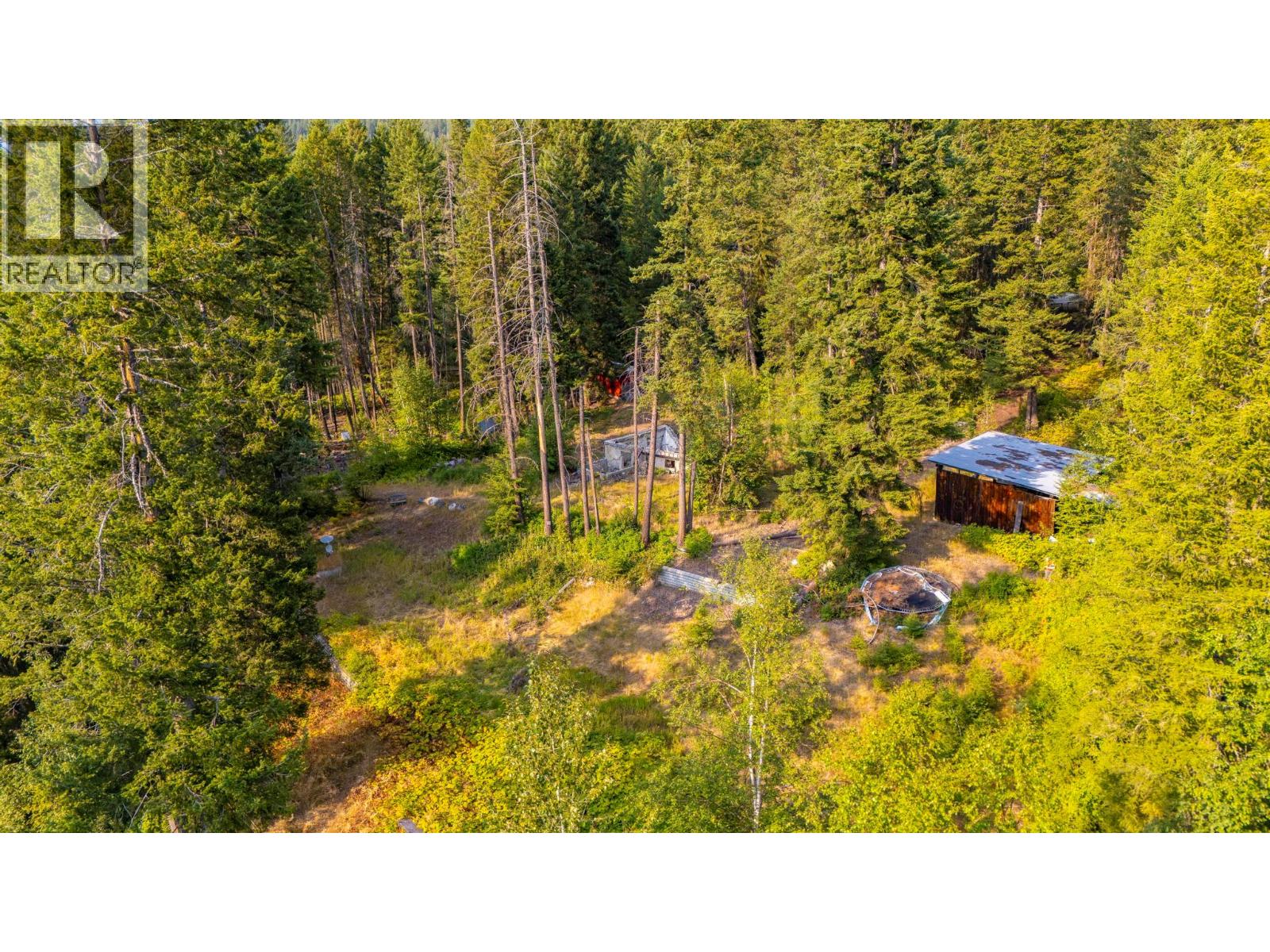 1396 Campbell Road, Golden, British Columbia  V0A 1H7 - Photo 11 - 10398160