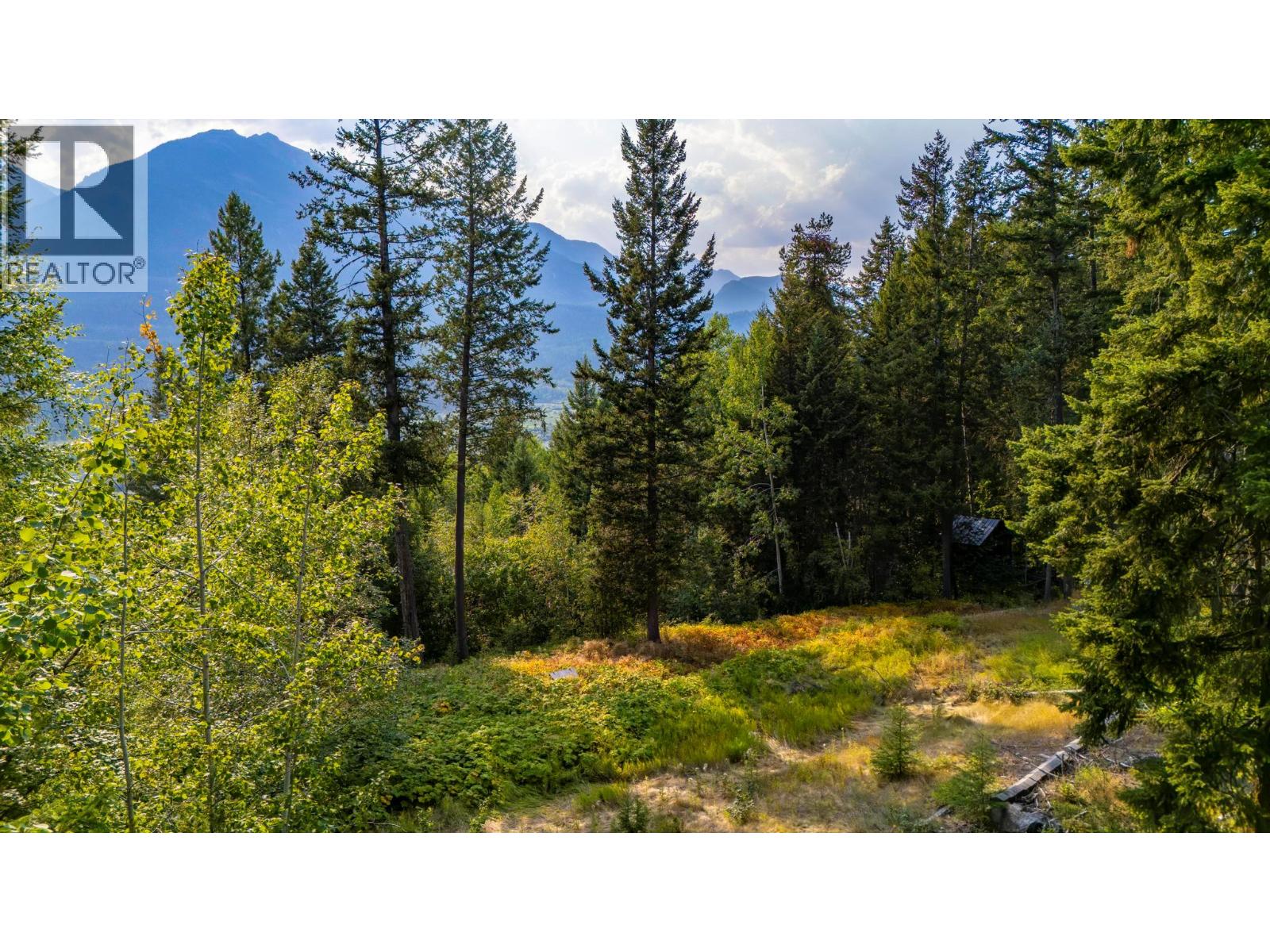 1396 Campbell Road, Golden, British Columbia  V0A 1H7 - Photo 13 - 10398160