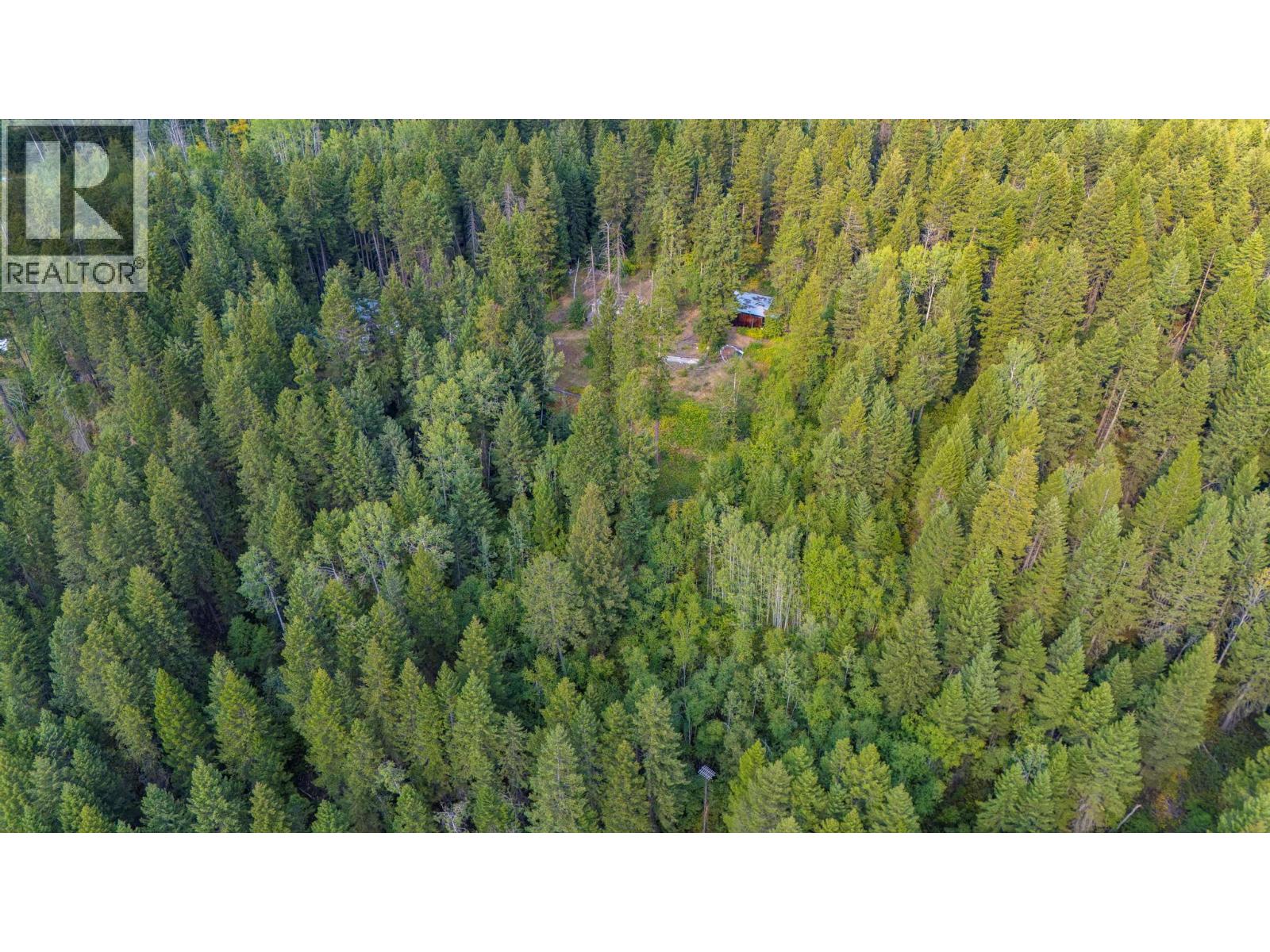 1396 Campbell Road, Golden, British Columbia  V0A 1H7 - Photo 23 - 10398160