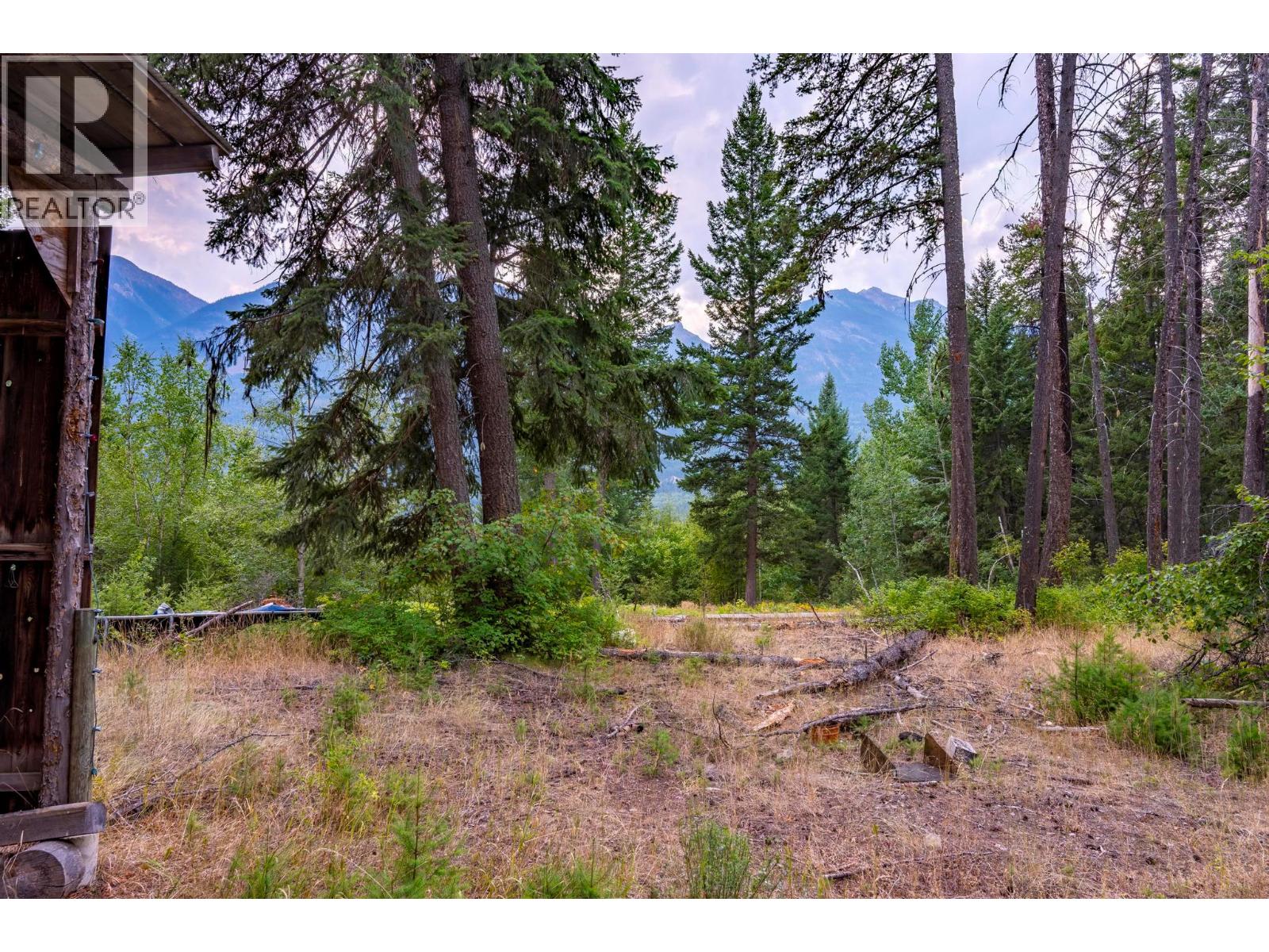 1396 Campbell Road, Golden, British Columbia  V0A 1H7 - Photo 28 - 10398160