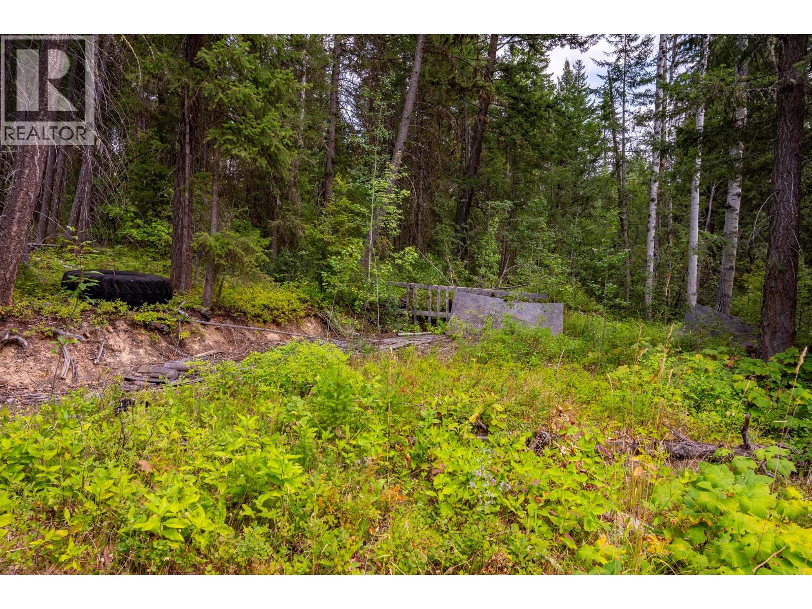 1396 Campbell Road, Golden, British Columbia  V0A 1H7 - Photo 33 - 10398160