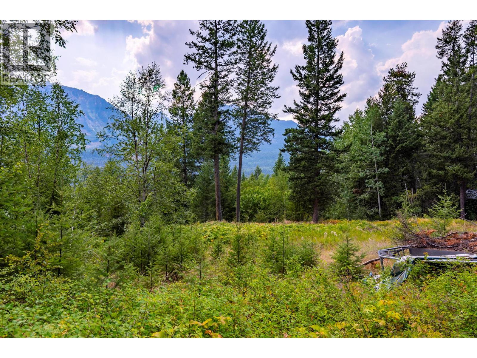 1396 Campbell Road, Golden, British Columbia  V0A 1H7 - Photo 34 - 10398160