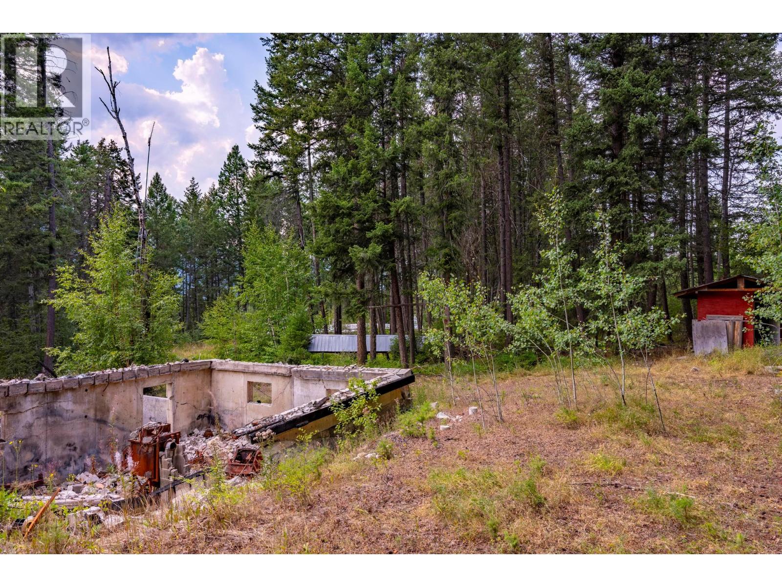 1396 Campbell Road, Golden, British Columbia  V0A 1H7 - Photo 37 - 10398160
