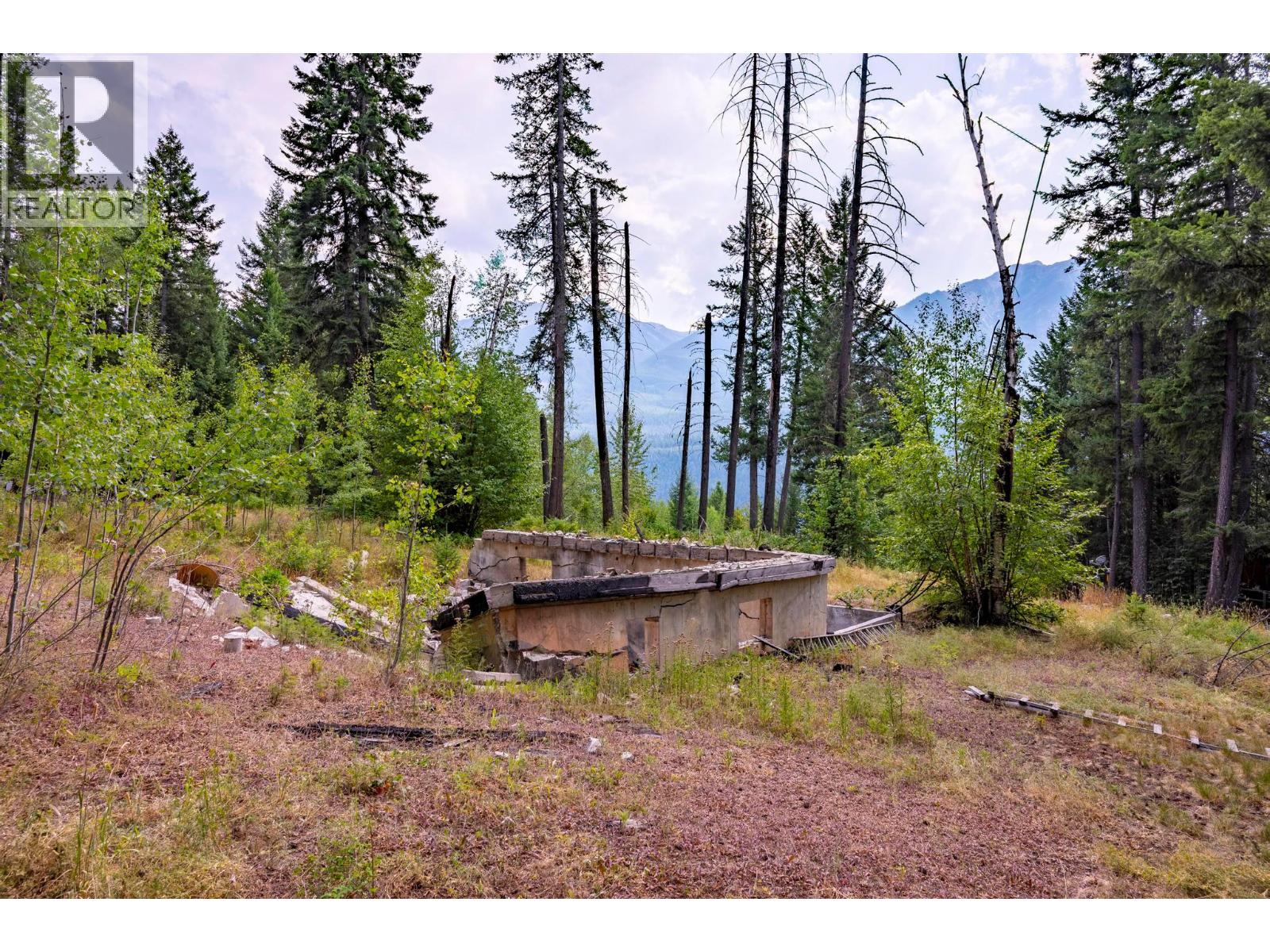 1396 Campbell Road, Golden, British Columbia  V0A 1H7 - Photo 38 - 10398160