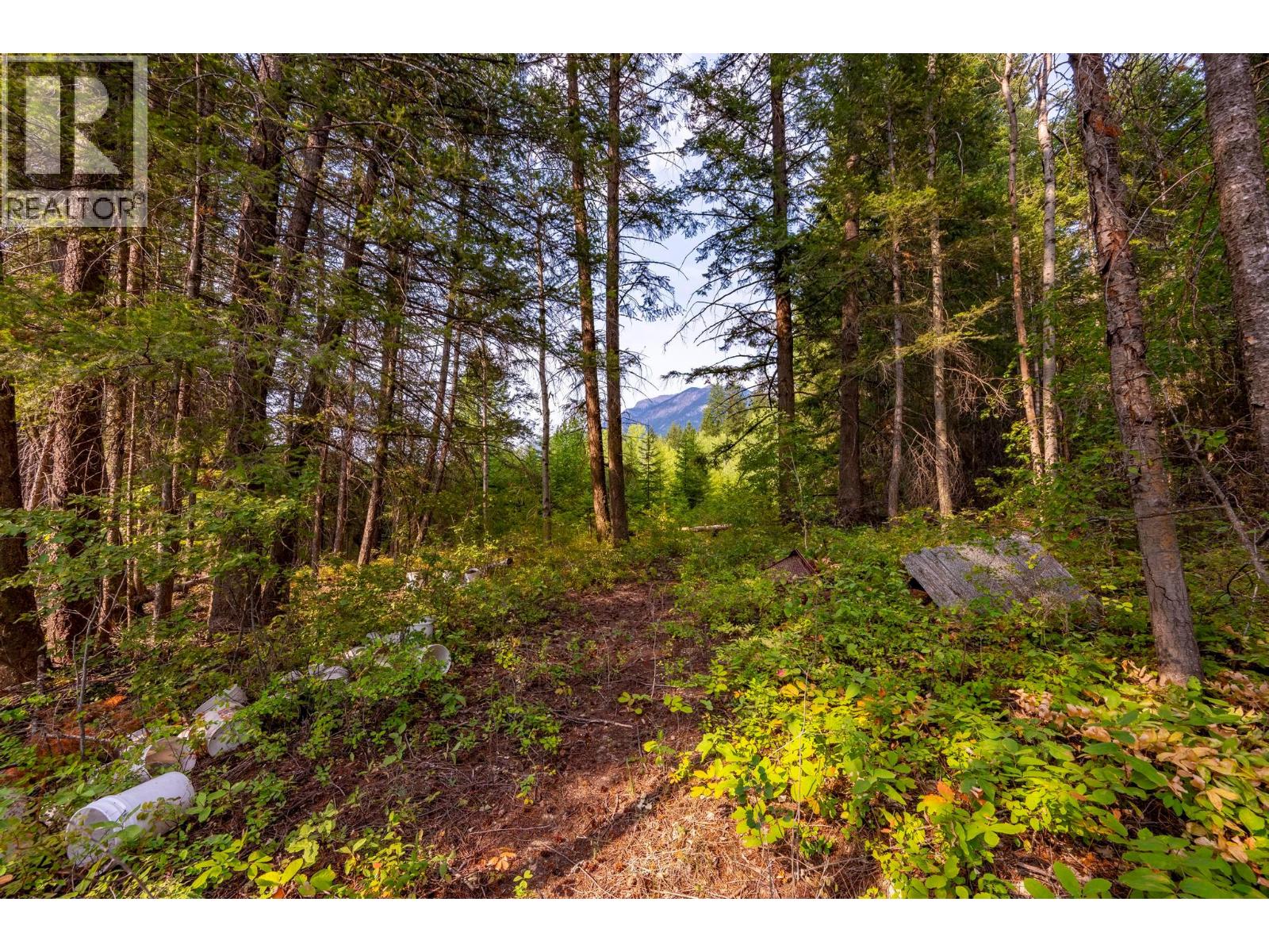 1396 Campbell Road, Golden, British Columbia  V0A 1H7 - Photo 44 - 10398160