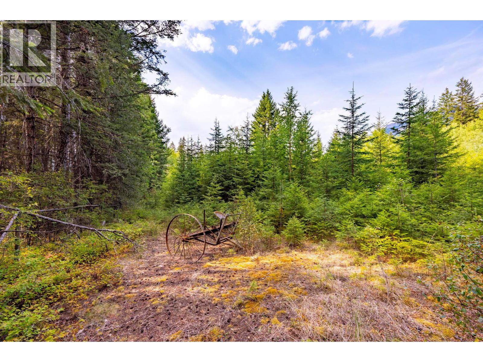 1396 Campbell Road, Golden, British Columbia  V0A 1H7 - Photo 45 - 10398160