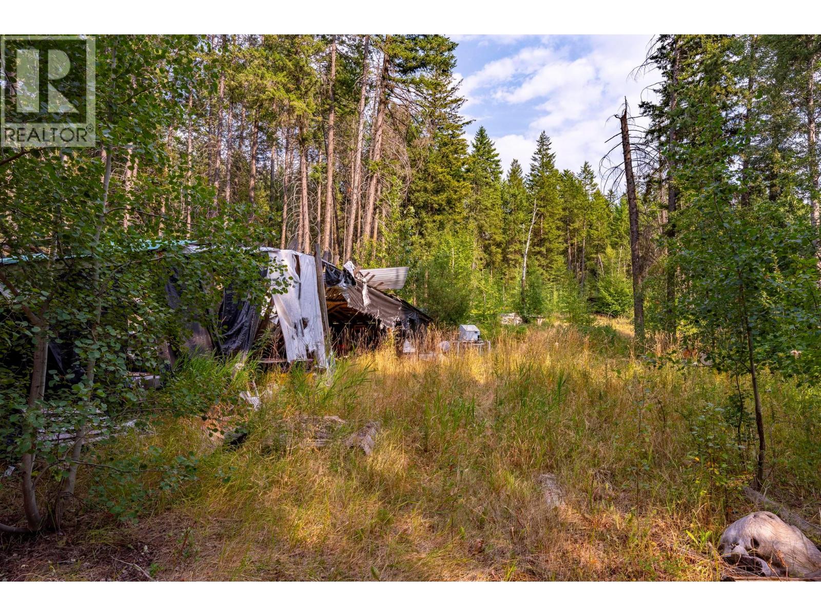 1396 Campbell Road, Golden, British Columbia  V0A 1H7 - Photo 46 - 10398160