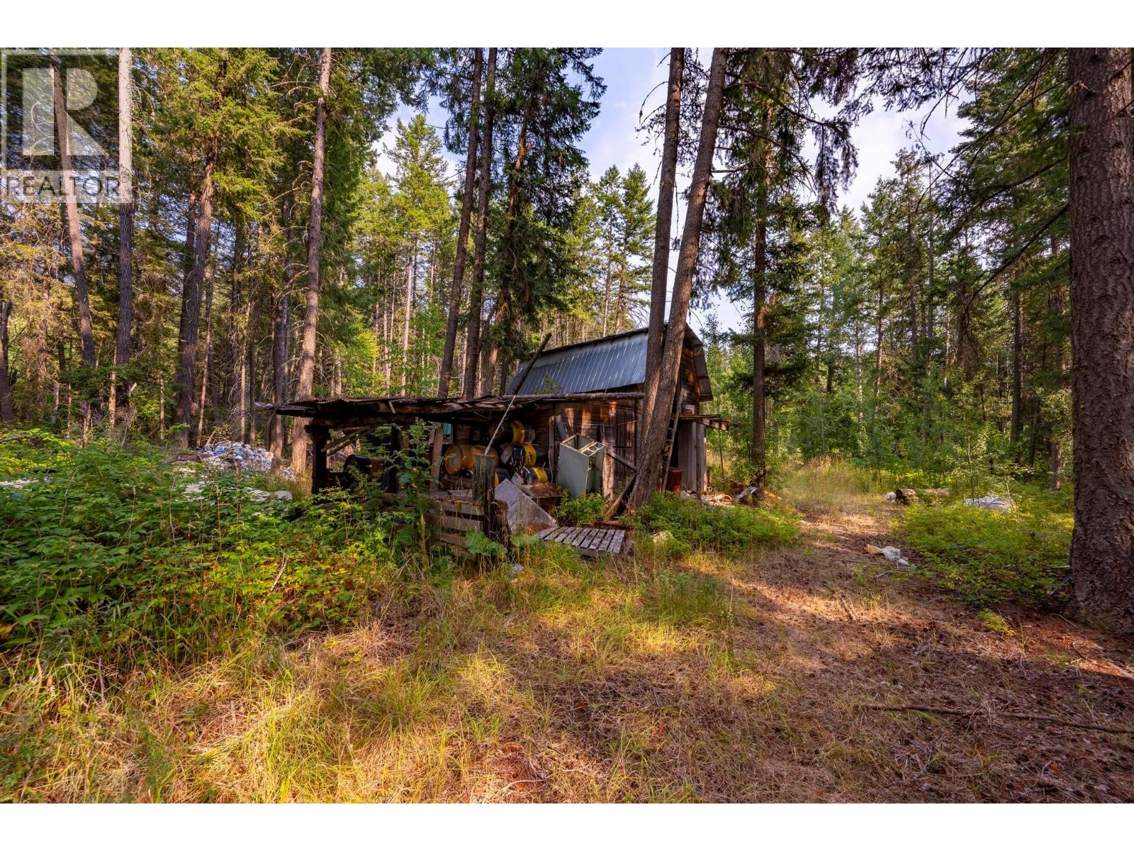 1396 Campbell Road, Golden, British Columbia  V0A 1H7 - Photo 48 - 10398160