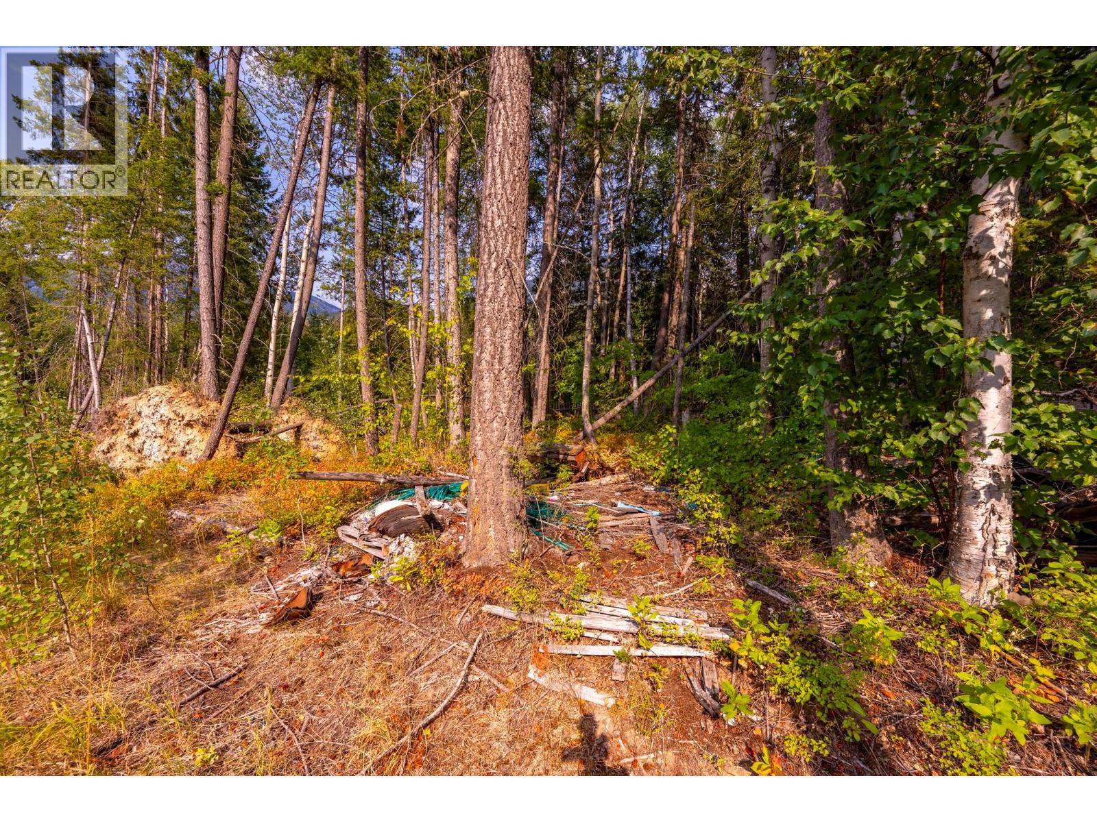1396 Campbell Road, Golden, British Columbia  V0A 1H7 - Photo 50 - 10398160