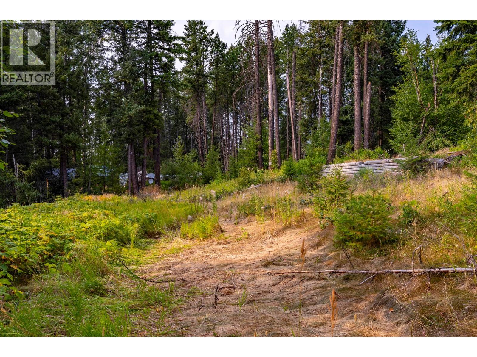 1396 Campbell Road, Golden, British Columbia  V0A 1H7 - Photo 54 - 10398160