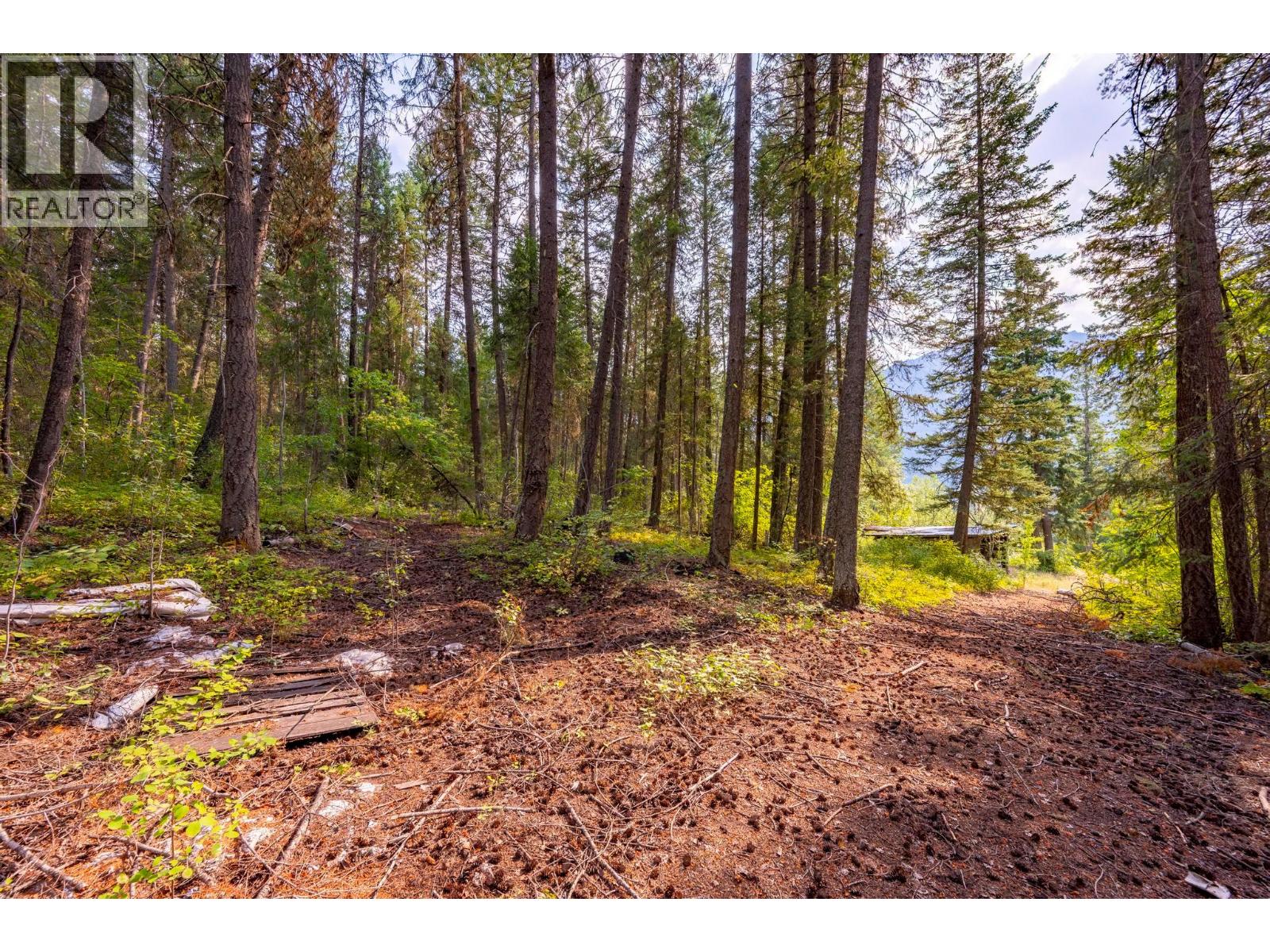 1396 Campbell Road, Golden, British Columbia  V0A 1H7 - Photo 56 - 10398160
