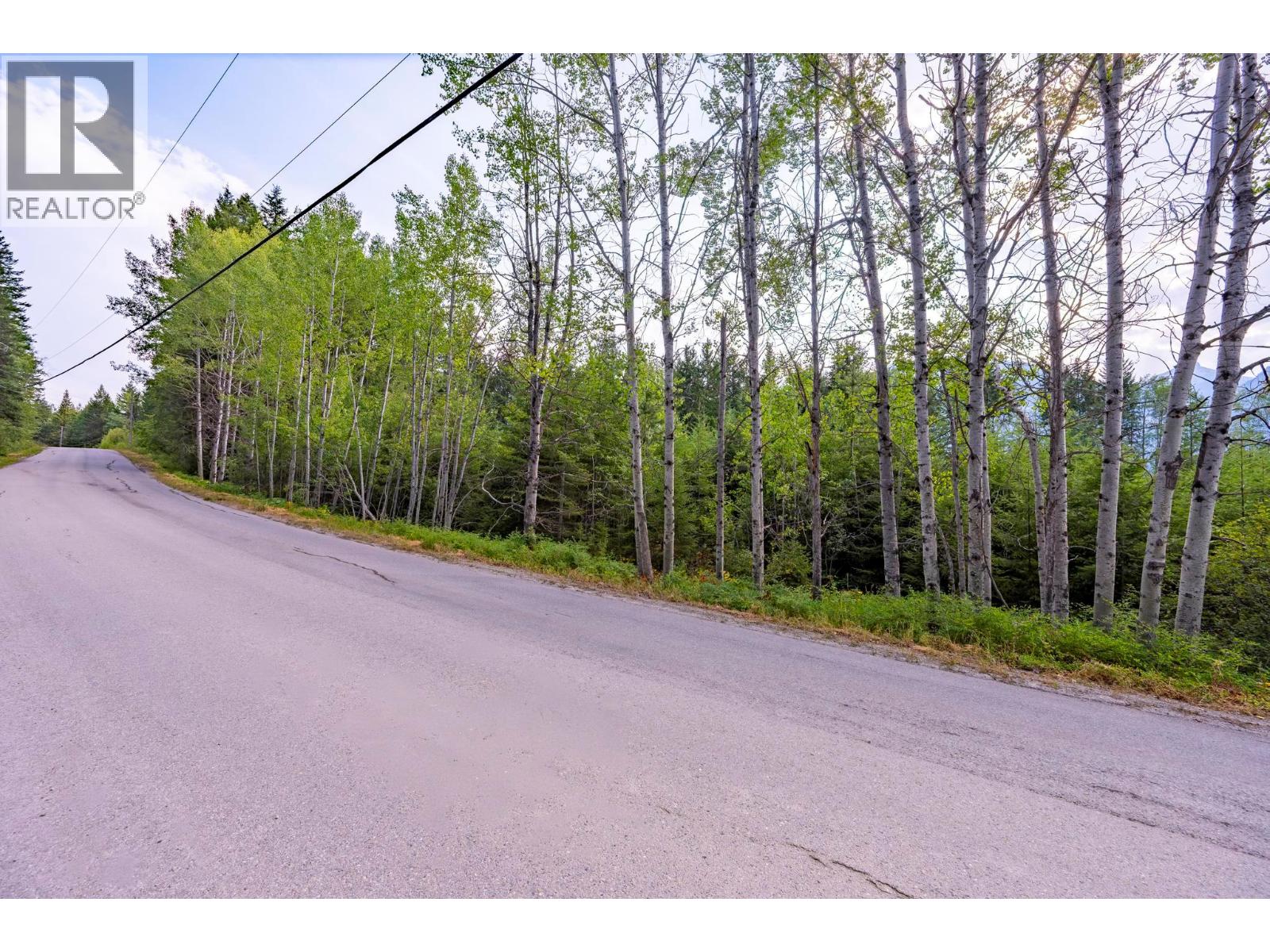 1396 Campbell Road, Golden, British Columbia  V0A 1H7 - Photo 61 - 10398160